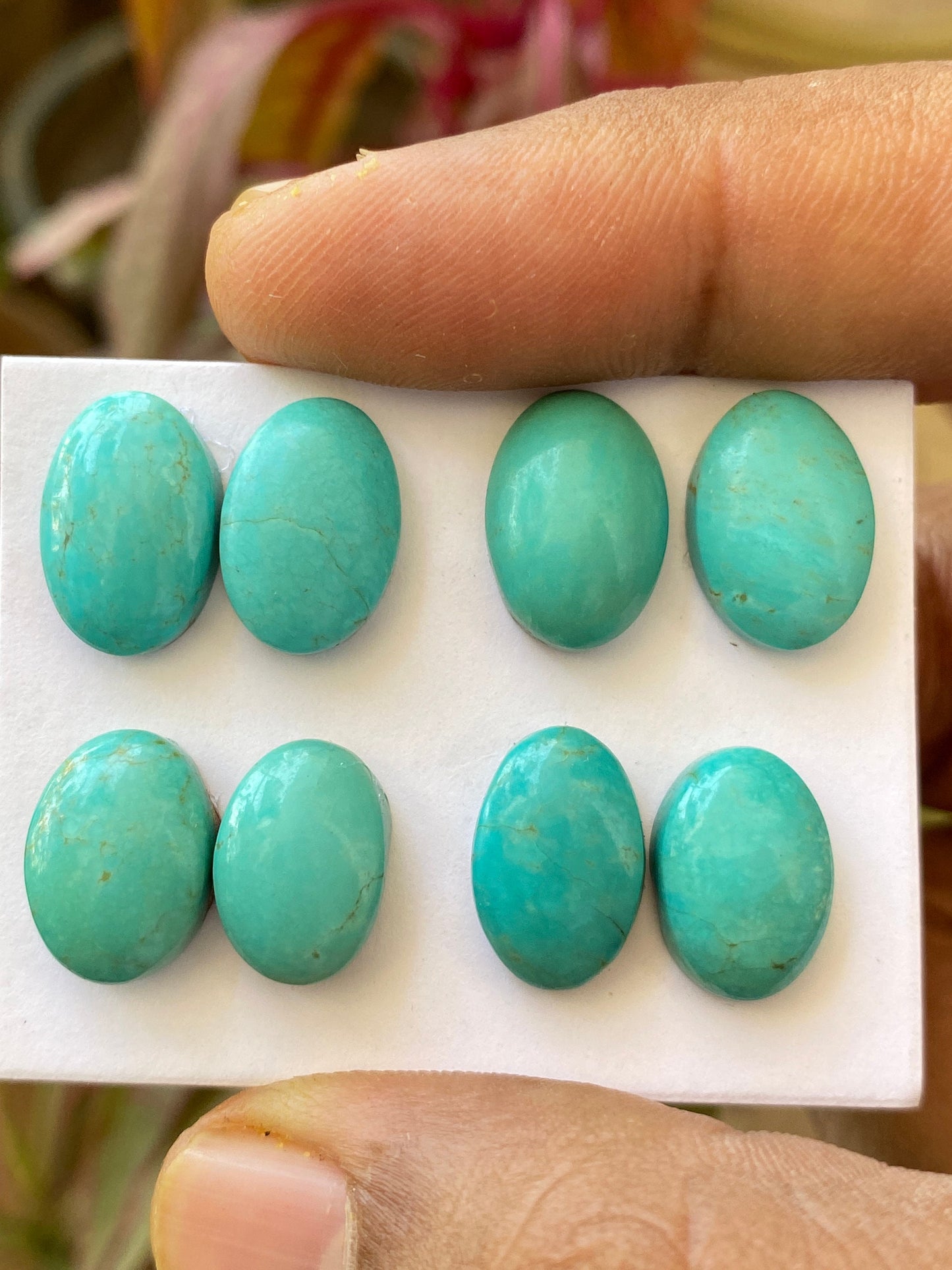 Awesome rare Turquoise cabochons pair earrings natural Arizona mines smooth ovals pcs 8 wt 41 carats 13x9-14x10mm turquoise cabochon