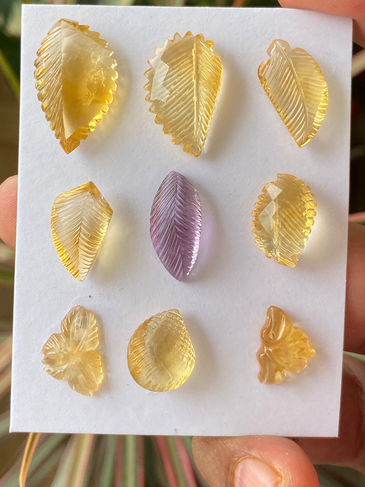 Vivacious Natural citrine amethyst hand carved wholesale lot wt 65.5 cts pcs 9 size 14x10mm-23.5x14mm citrine carving gemstone carving