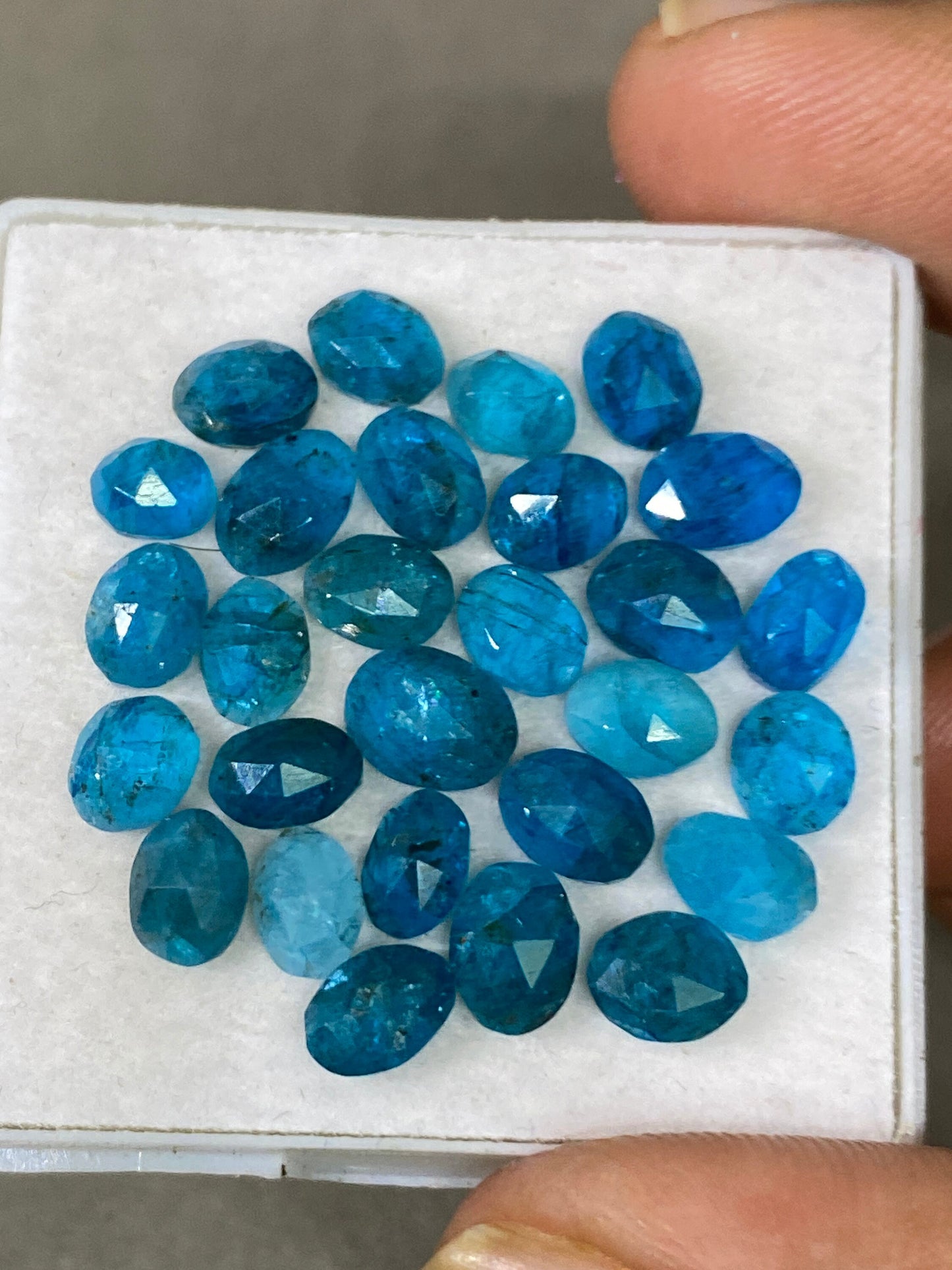 Alluring Neon Blue apatite rosecut wholesale lot wt 20 cts pcs 28 size 5.5x4.5mm-7.5x6mm rosecut neon blue apatite flats apatite rosecut