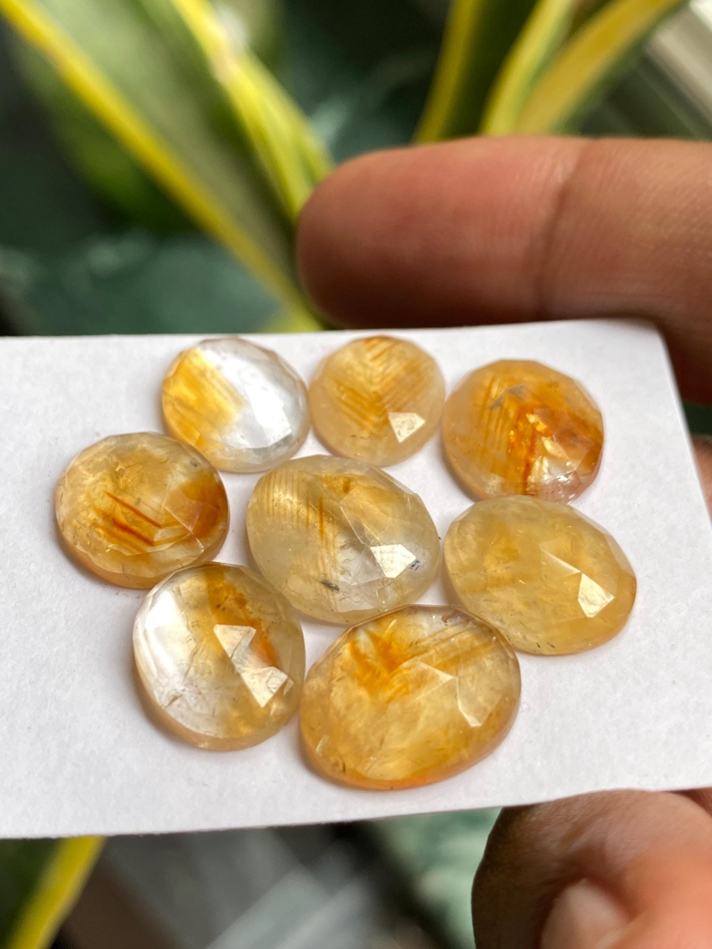 Dazzling Bicolor Citrine rosecut bi color wholesale lot pcs 8 wt 36 carats good size 12x10mm-14x11mm natural citrine rosecut flatback