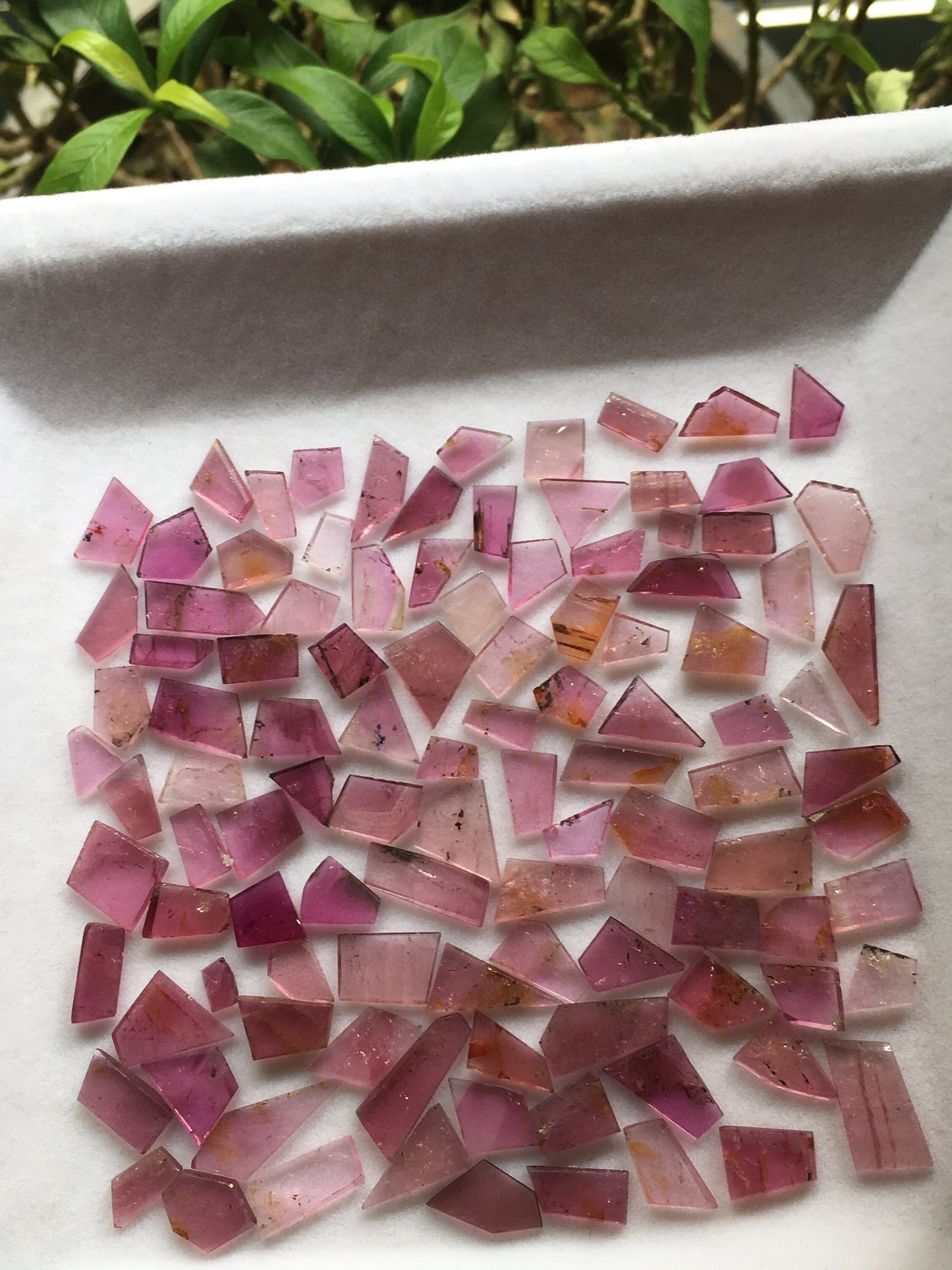 Pink tourmaline flats 6.3x5.4mm to 9.3x6.9mm 72.45 carats 106 Pcs