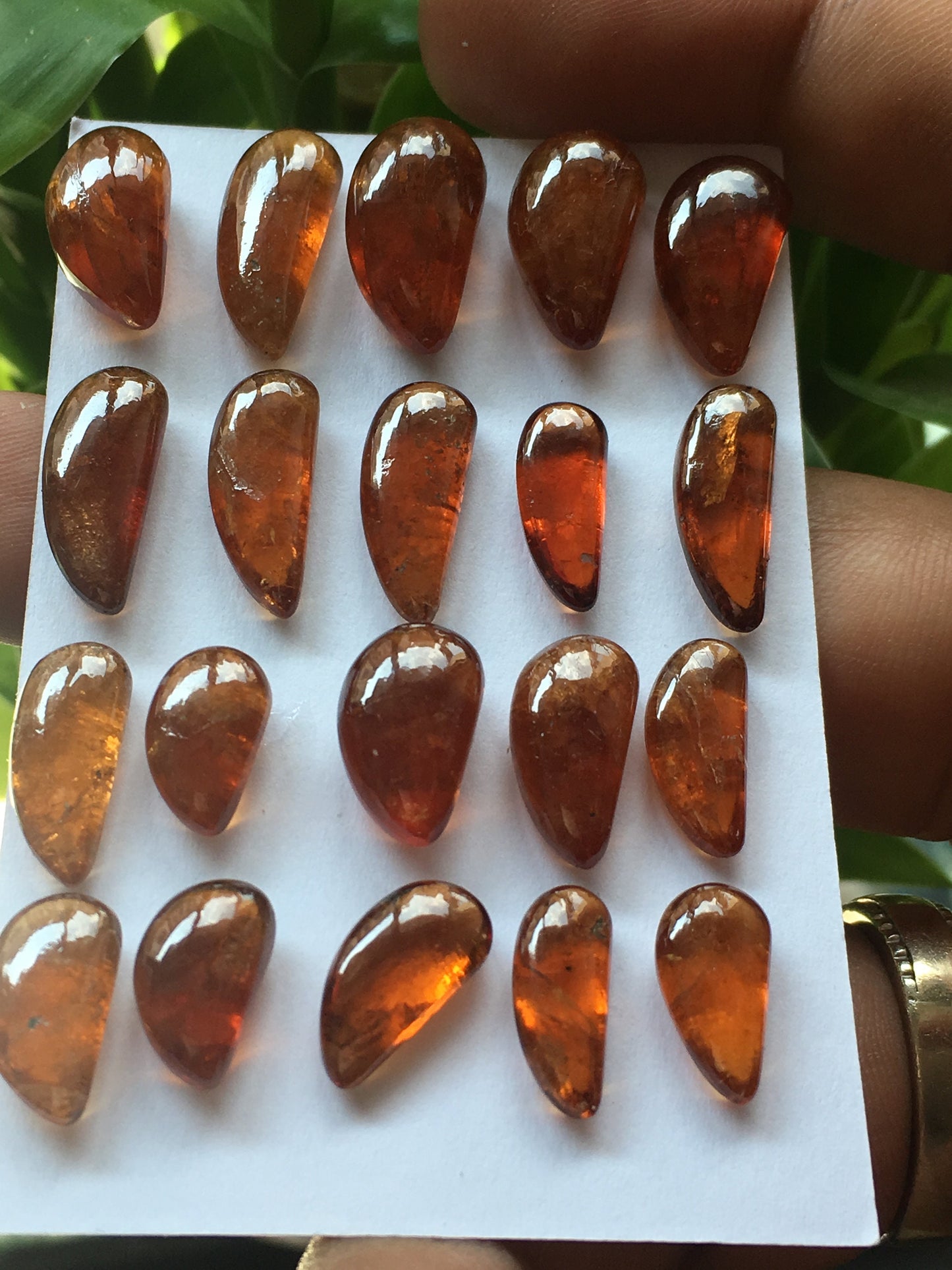 Attractive Hessonite tusks wholesale lot pcs 20 weight 117.75 carats size 12x7mm to 16.3x8.5mm Hessonite garnet tusks for pendants