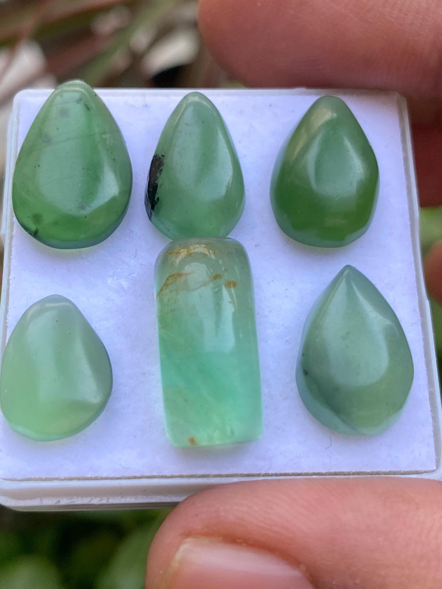 serpentine cabochons gems beautiful green cabochons pcs 6 wt 44.55 carats size  13x10-19x9mm serpentine cabochons