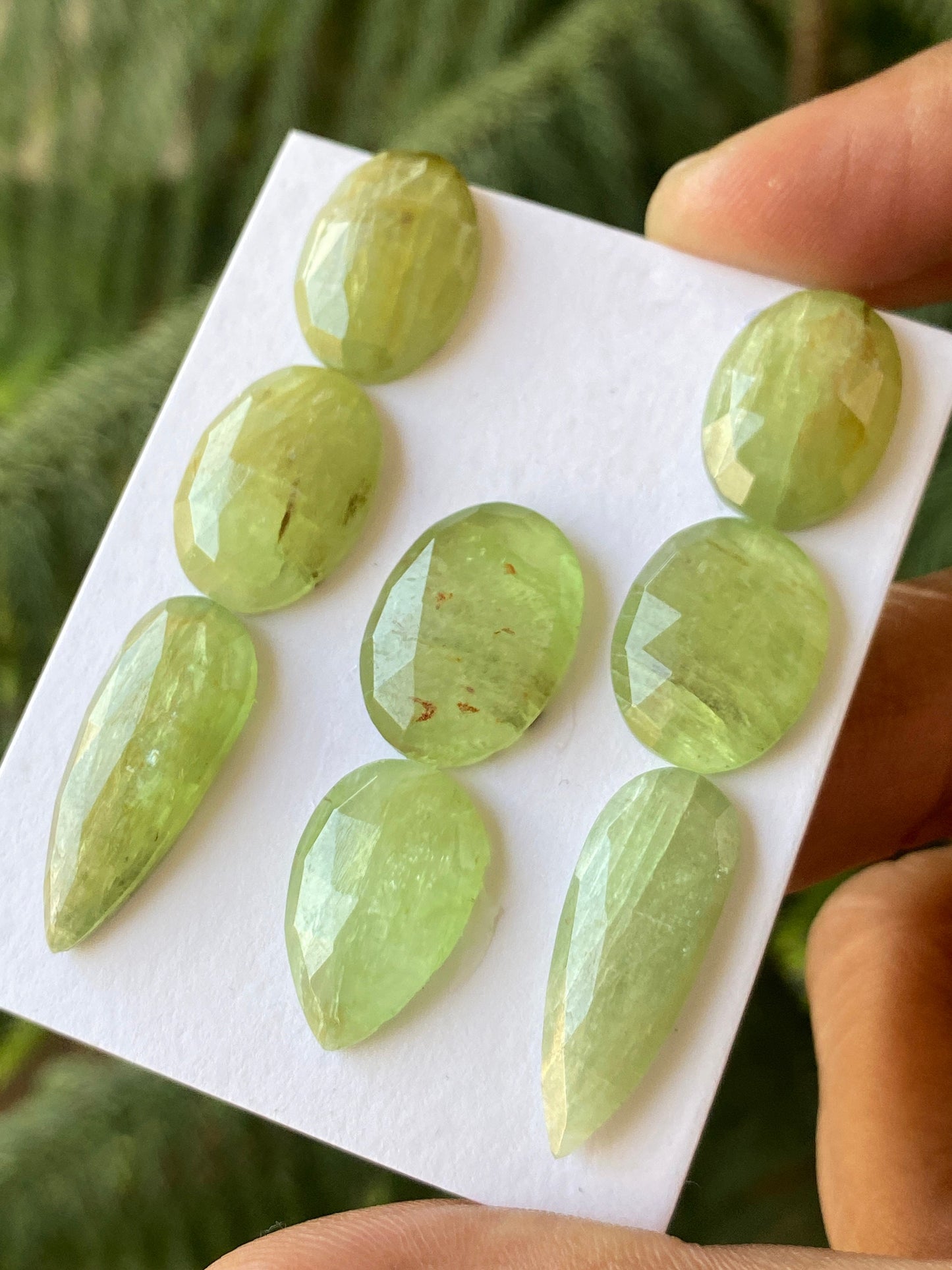 Vivacious rare parrot green kyanite ovalish rosecut flats wt 83 carats size 11x10-22x9mm  pcs 8 parrot green kyanite rosecut