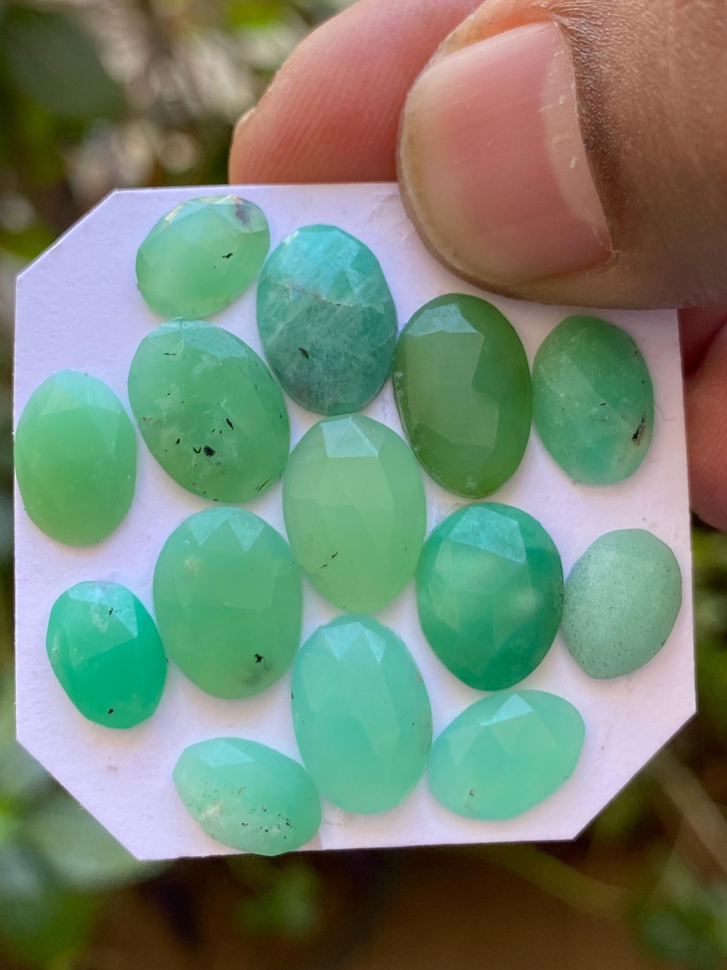 Dazzling Chrysoprase rosecut fancy wholesale lot fine quality wt 24.80 carats pcs 15 size 9x6.5mm-12.5x8.2mm chrysoprase rosecut