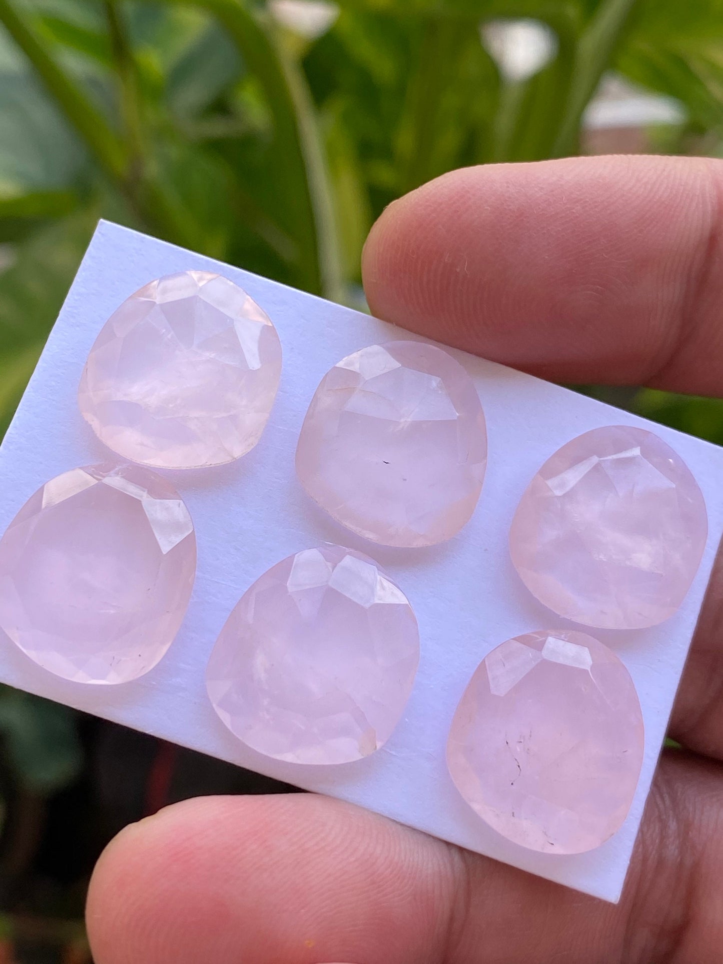 Dazzling rosequartz rose cut lot fancy oval fine quality weight 48 carats pcs 6 size 16.5x14.7mm rosecut rose quartz