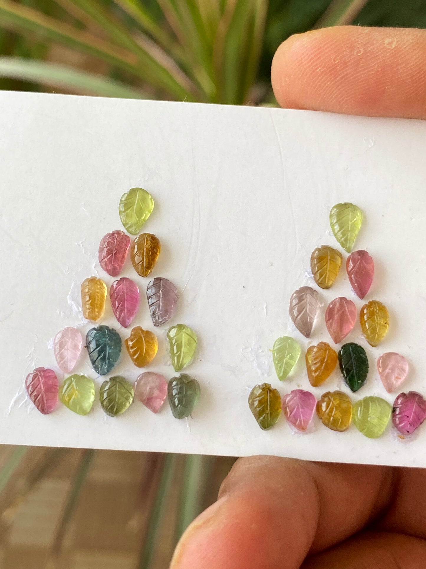 Rare Watermelon tourmaline leaf carving earrings supply multi tourmaline wt 13 cts pcs 30 size 7x4mm-5x4mm tourmaline leaf carving earrings