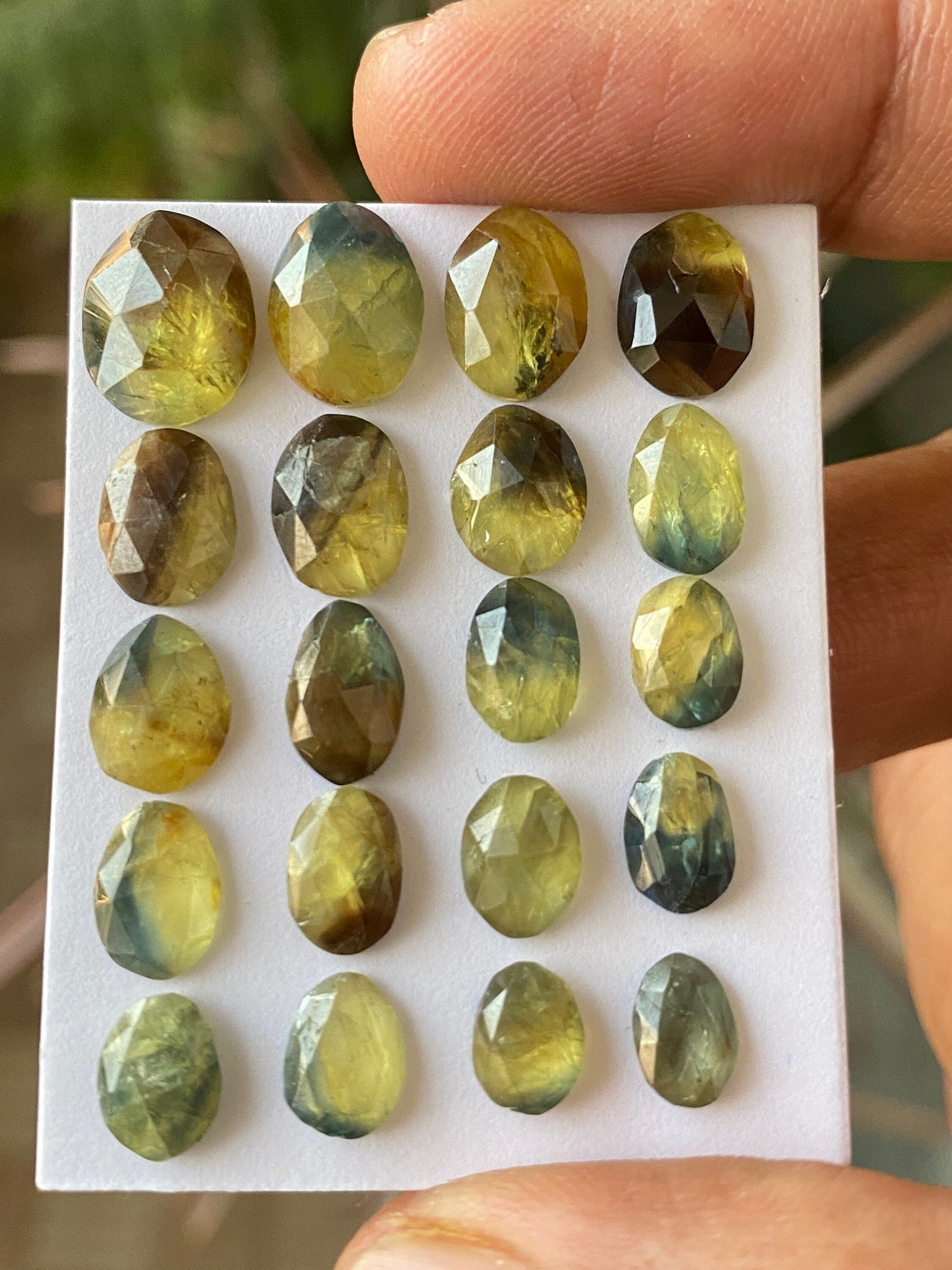 Dazzling rare Nigerian sapphire rosecut colorful Bicolor yellow sapphire lot pcs 20 wt 36 cts size 7x5mm-11x9mm rosecut sapphire