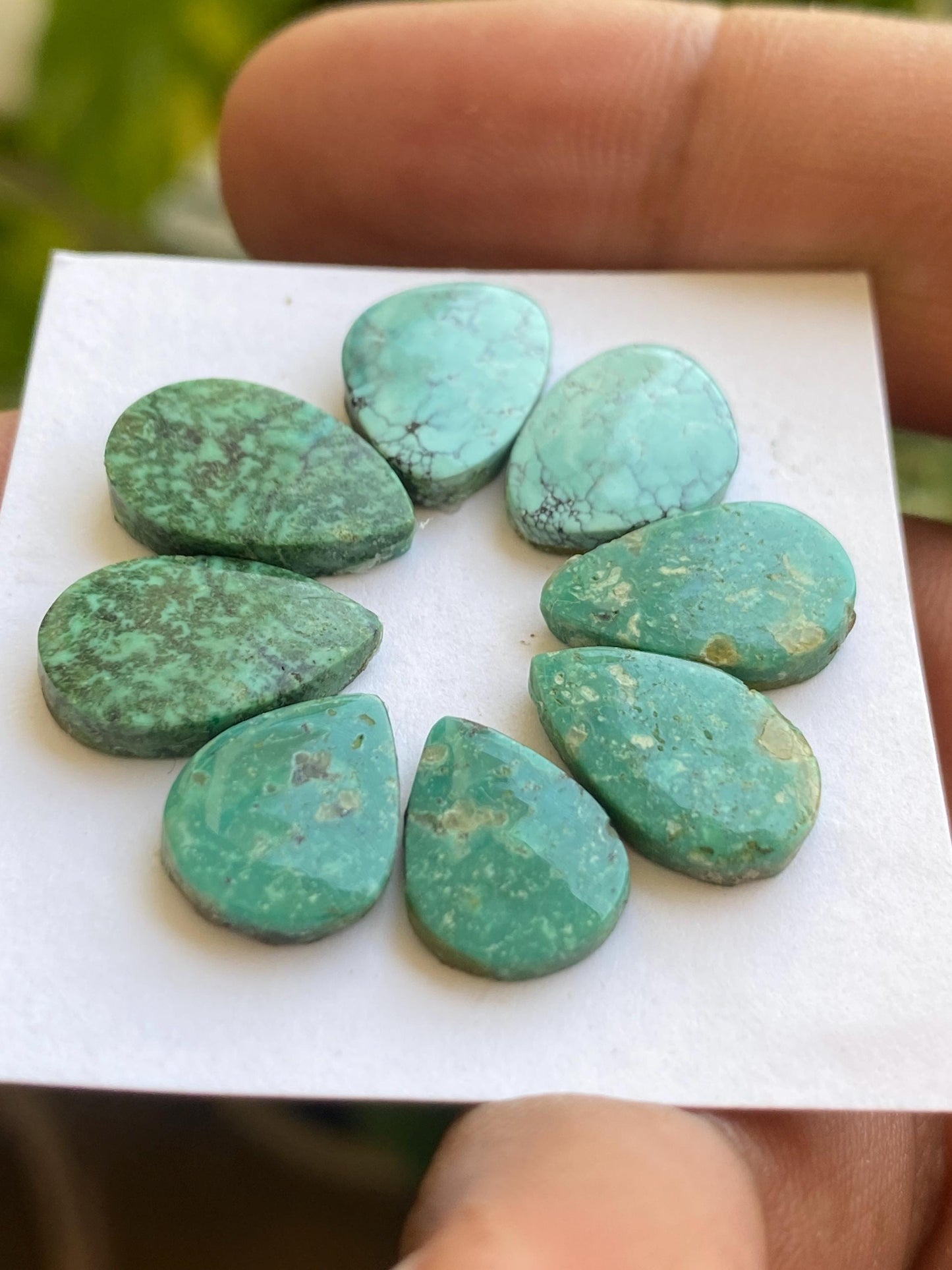 Amazing Turquoise pair natural hubei mines  pattern smooth turquoise pcs 8 wt 24 carats good size 12x9.5mm-15x10mm turquoise earrings supply