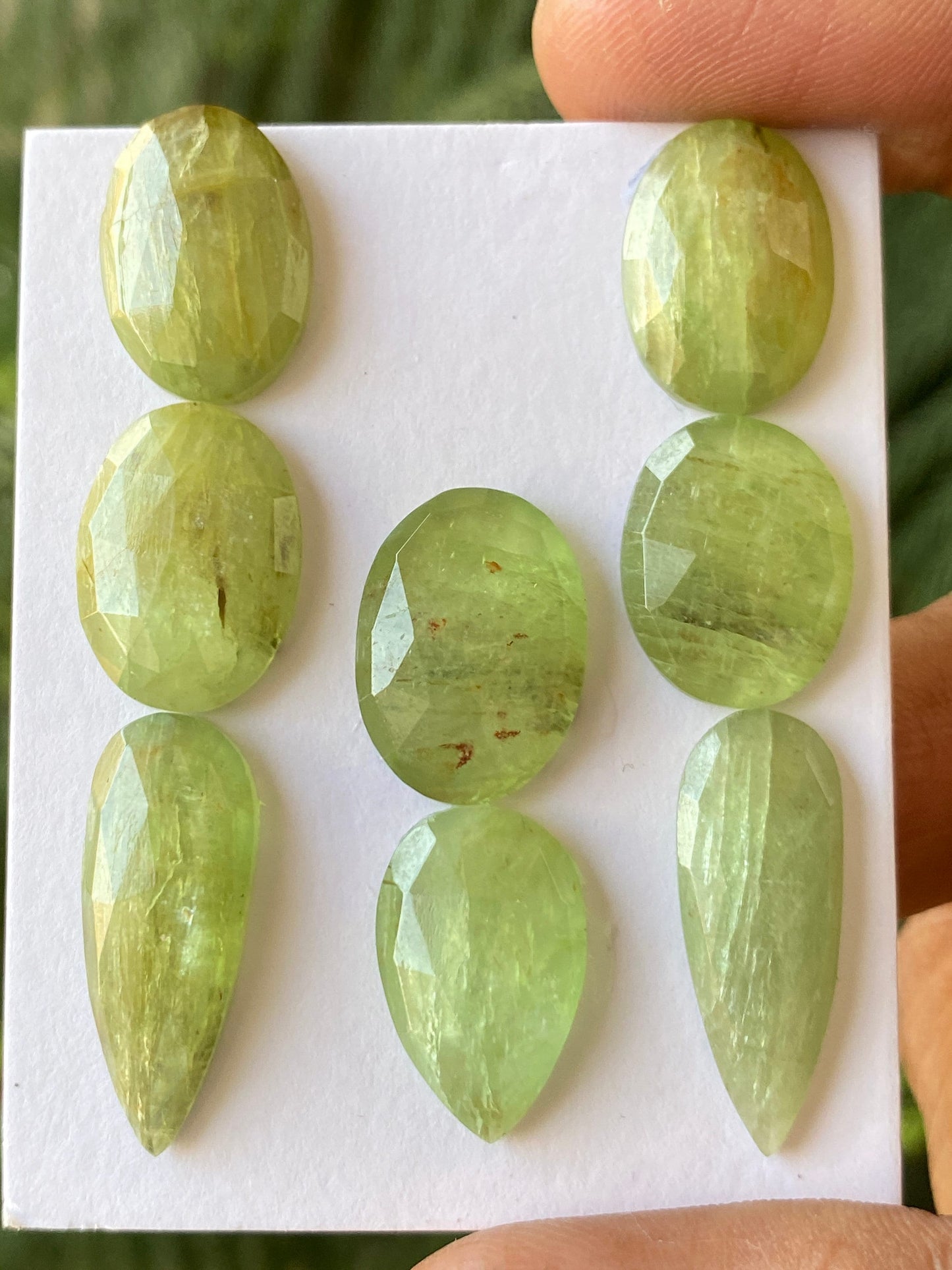 Vivacious rare parrot green kyanite ovalish rosecut flats wt 83 carats size 11x10-22x9mm  pcs 8 parrot green kyanite rosecut