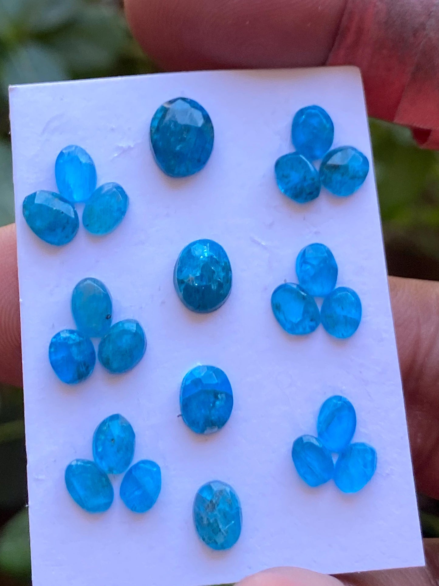 Stunning Neon Blue apatite rosecut wholesale lot wt 12 cts pcs 22 size 5.1x3.8mm-8.4x6.8mm rosecut neon blue apatite flats apatite rosecut