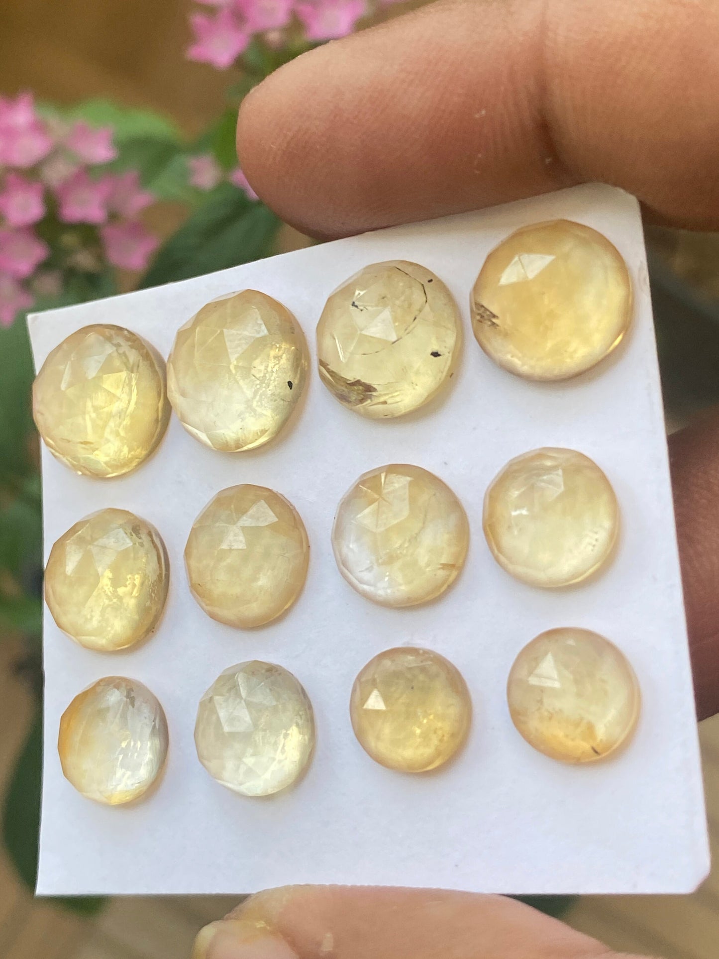 Dazzling rare Citrine rosecut round shape wholesale lot  natural citrine round rosecut flatback pcs 12 weight 41 carats citrine round