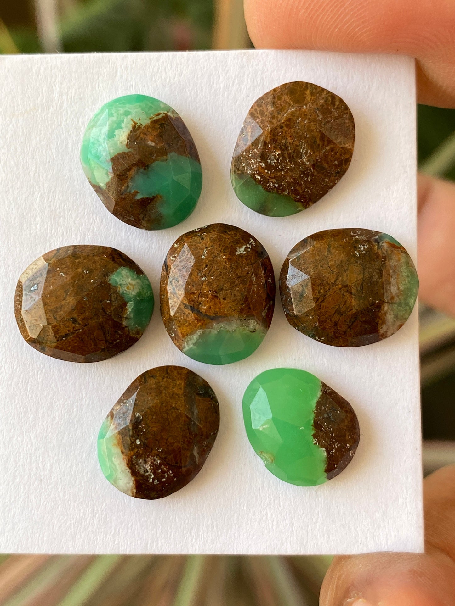 Stunning Rare  chrysoprase rosecut  chrysoprase rosecut gems flatbacks chrysoprase cabochons