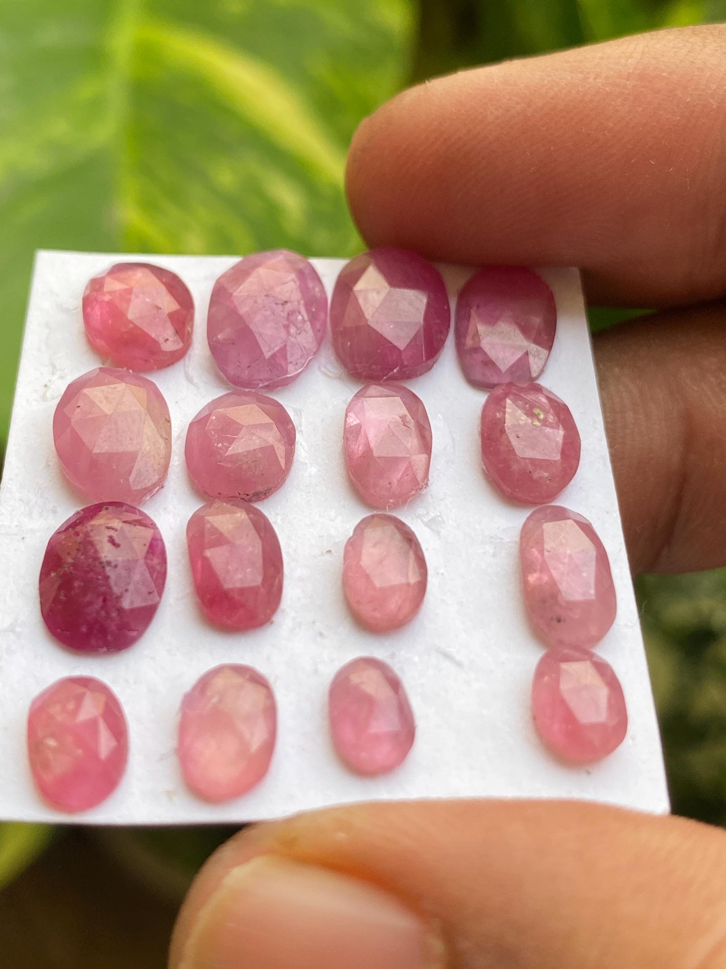 Amazing Rare natural mozambique ruby rosecut lot  mix shapes pcs 16 wt 25.70 cts size 7x4.5mm-12.5x8mm  unheated untreated ruby rosecut