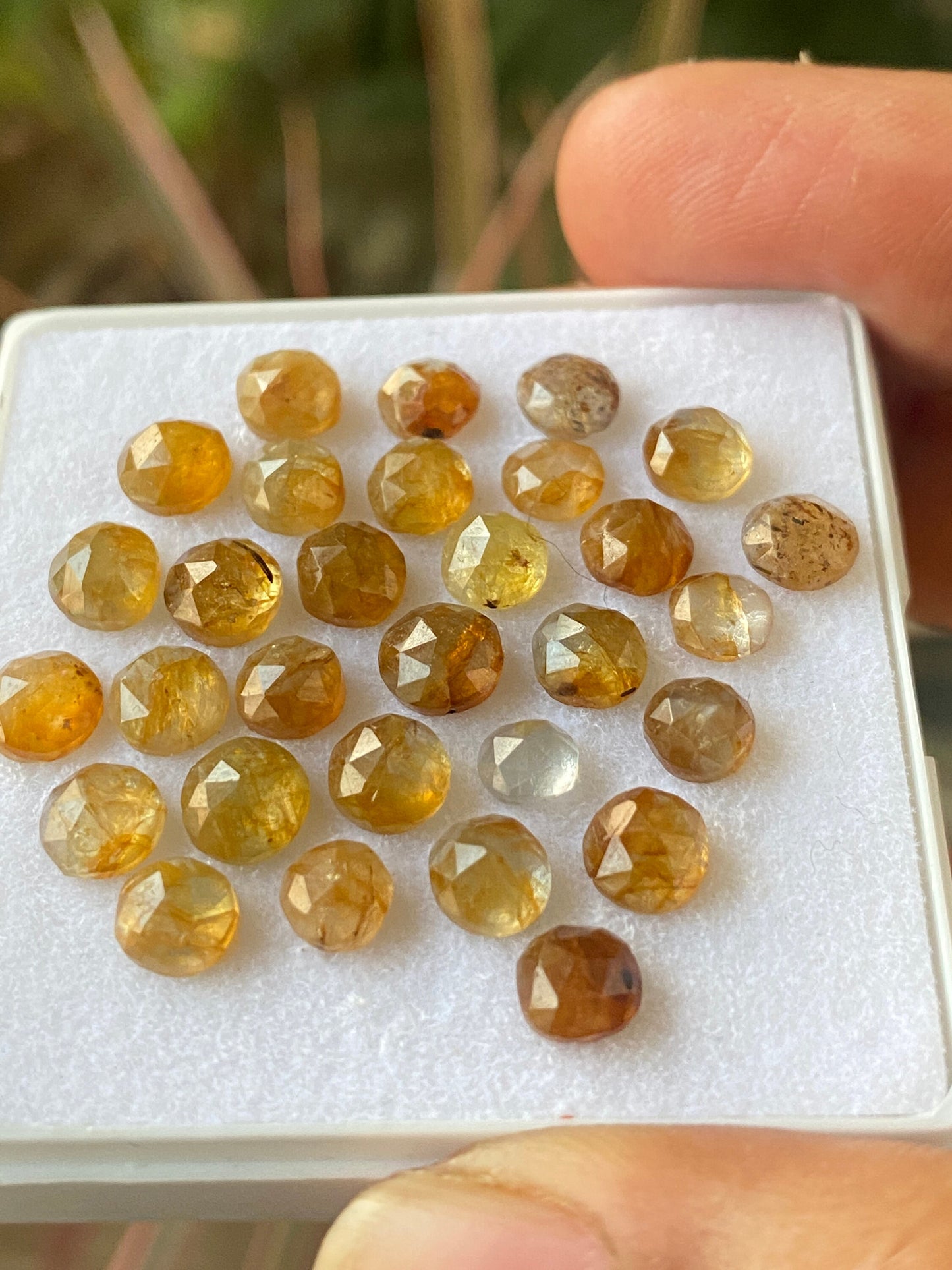 Extremely rare bi colo natural yellow sapphire tanzania mines wt 30 cts size 4.7mm-6mm pcs 30 rosecut sapphire lot Bicolor gems