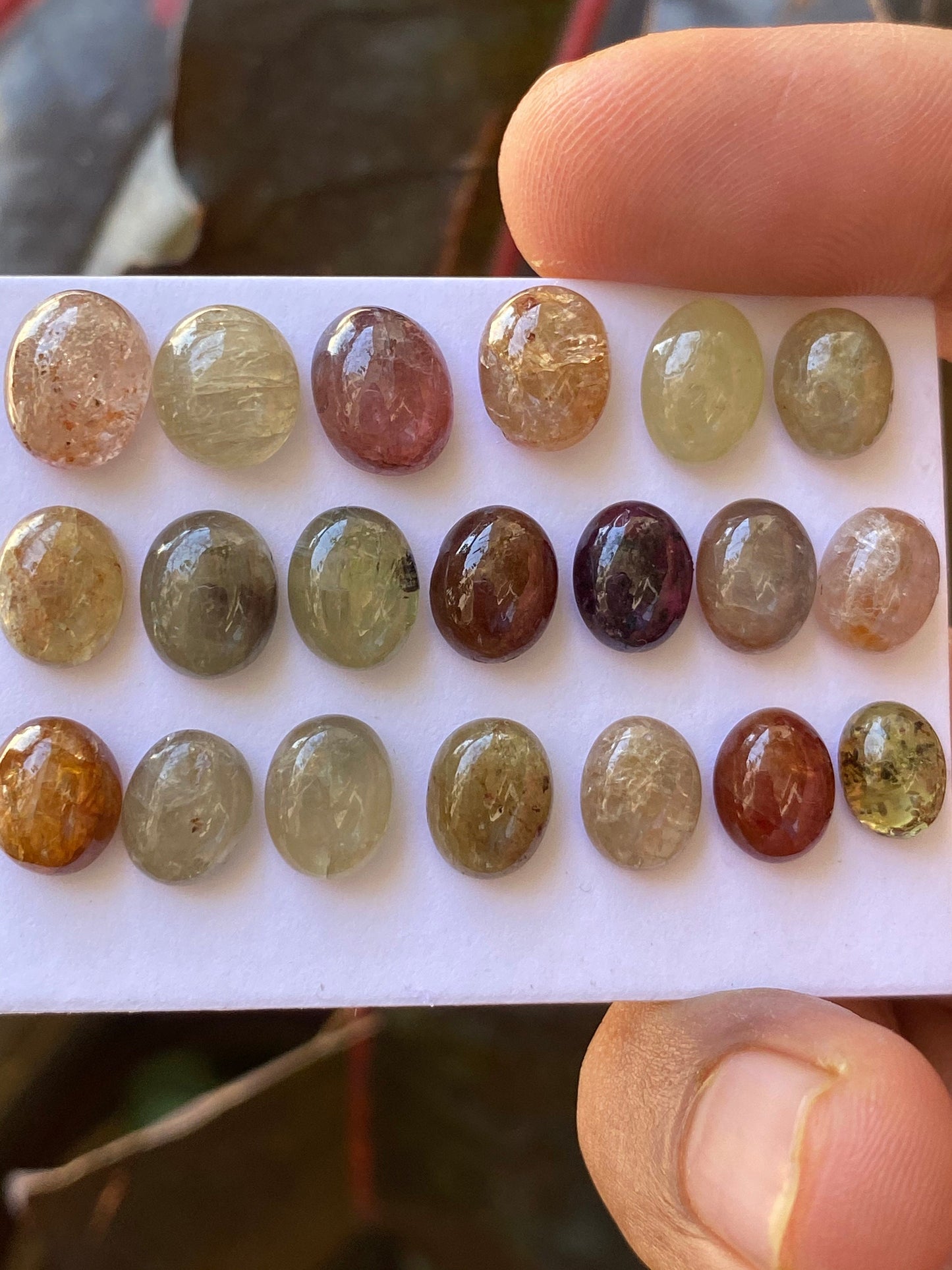 Delightful Natural rare yellowish brown Umba sapphire cabochon weight 63 carats size 8x6.3mm-9.8x7.7mm  pcs 20 Umba sapphire oval cabochons