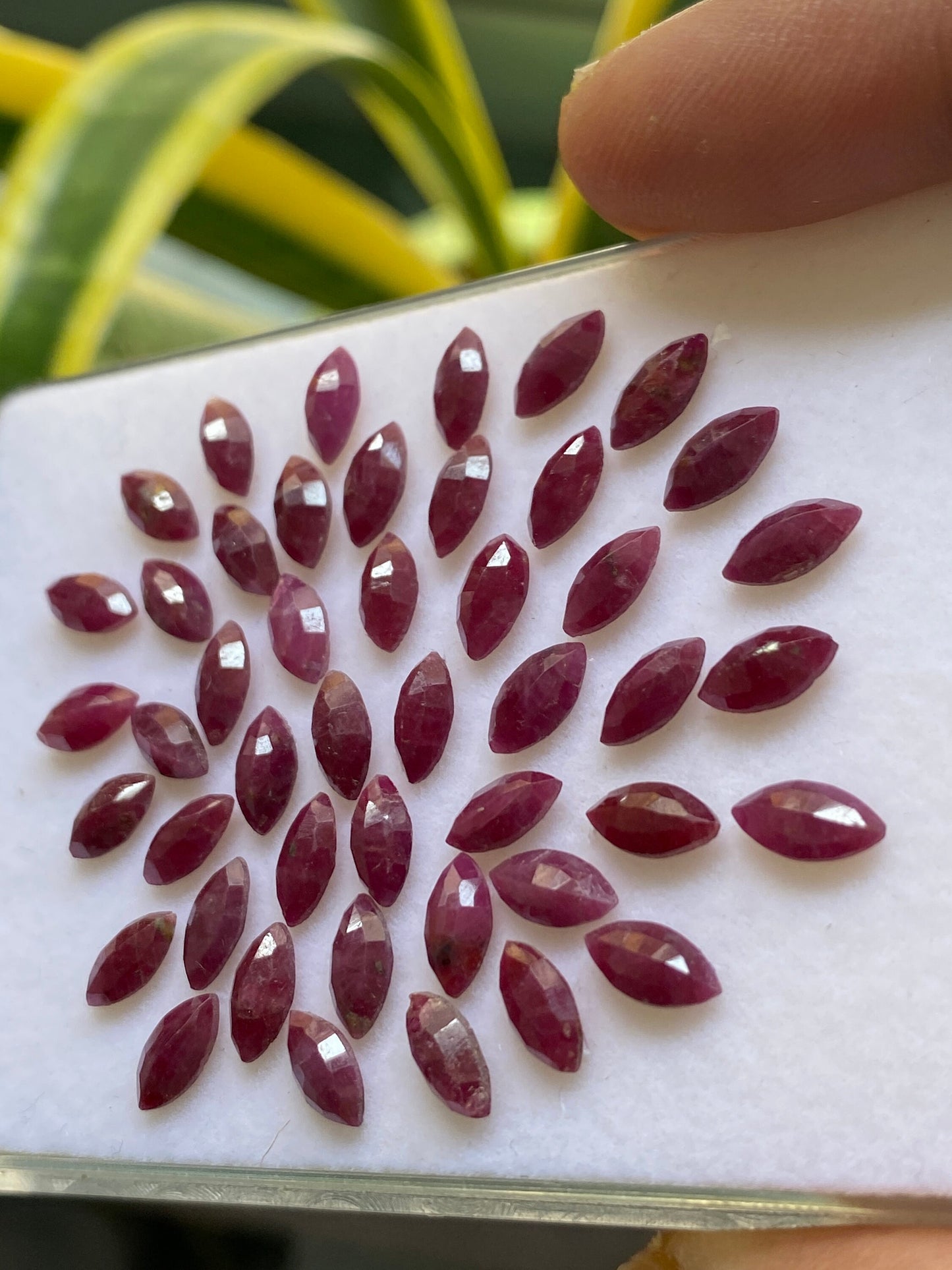 Vivacious Rare Natural  ruby marquees cut small size 7.9x4.3mm-8.3x4.3mm weight 36 carats Natural ruby marquees cut unheated untreated ruby