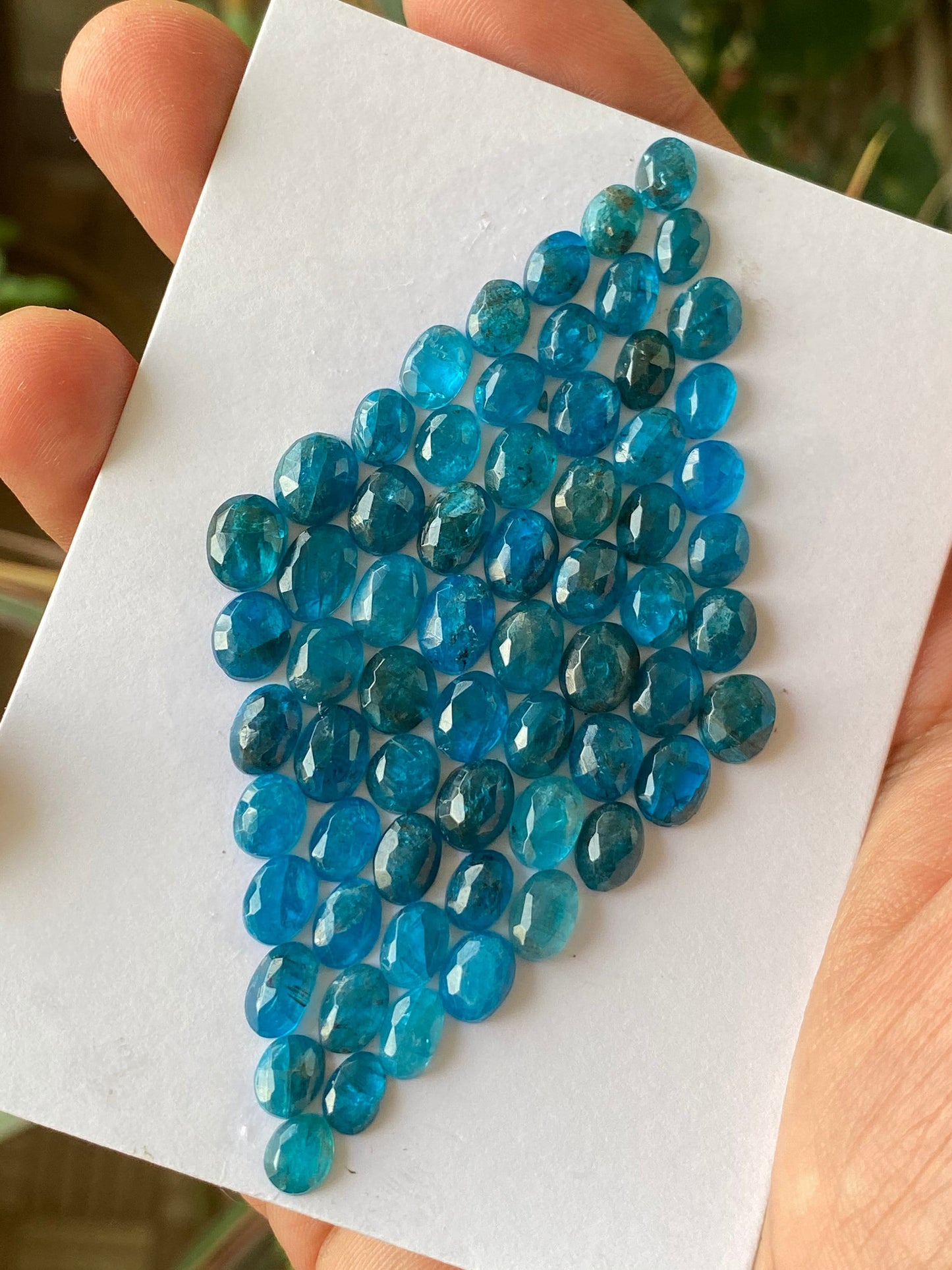 Dazzling Neon Blue apatite rosecut wholesale lot wt 85 cts pcs 64 size 6.1x5.1mm-9.3x6.2mm rosecut neon blue apatite flats apatite rosecut