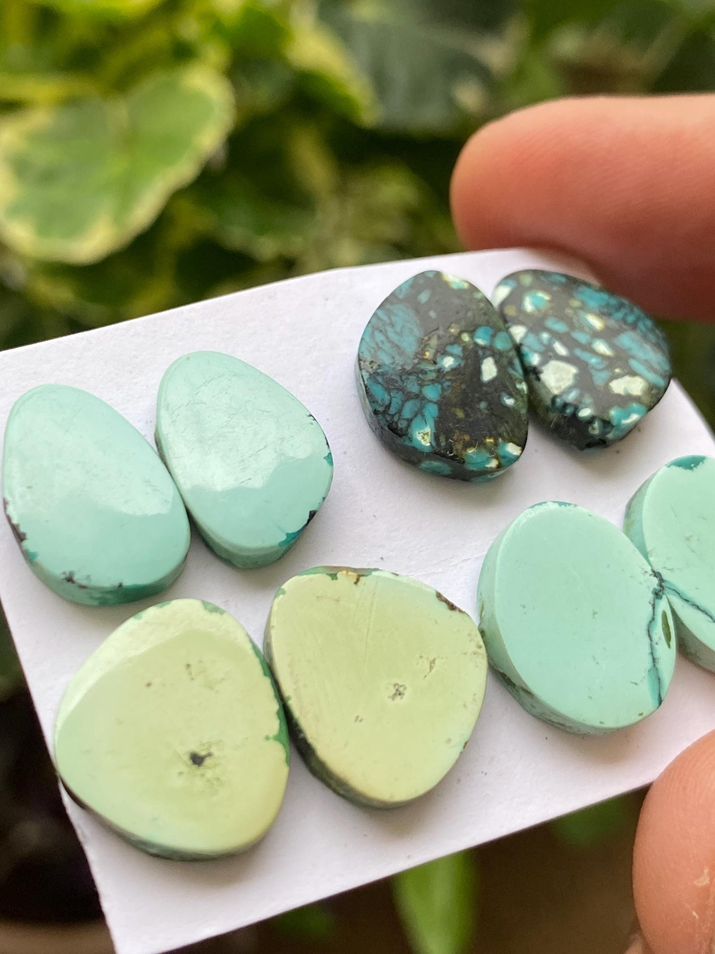 Cute Turquoise pairs natural hubei mines smooth polished cloud mountain pcs 8 wt 44 carats 15x10-15x14mm turquoise earrings supply