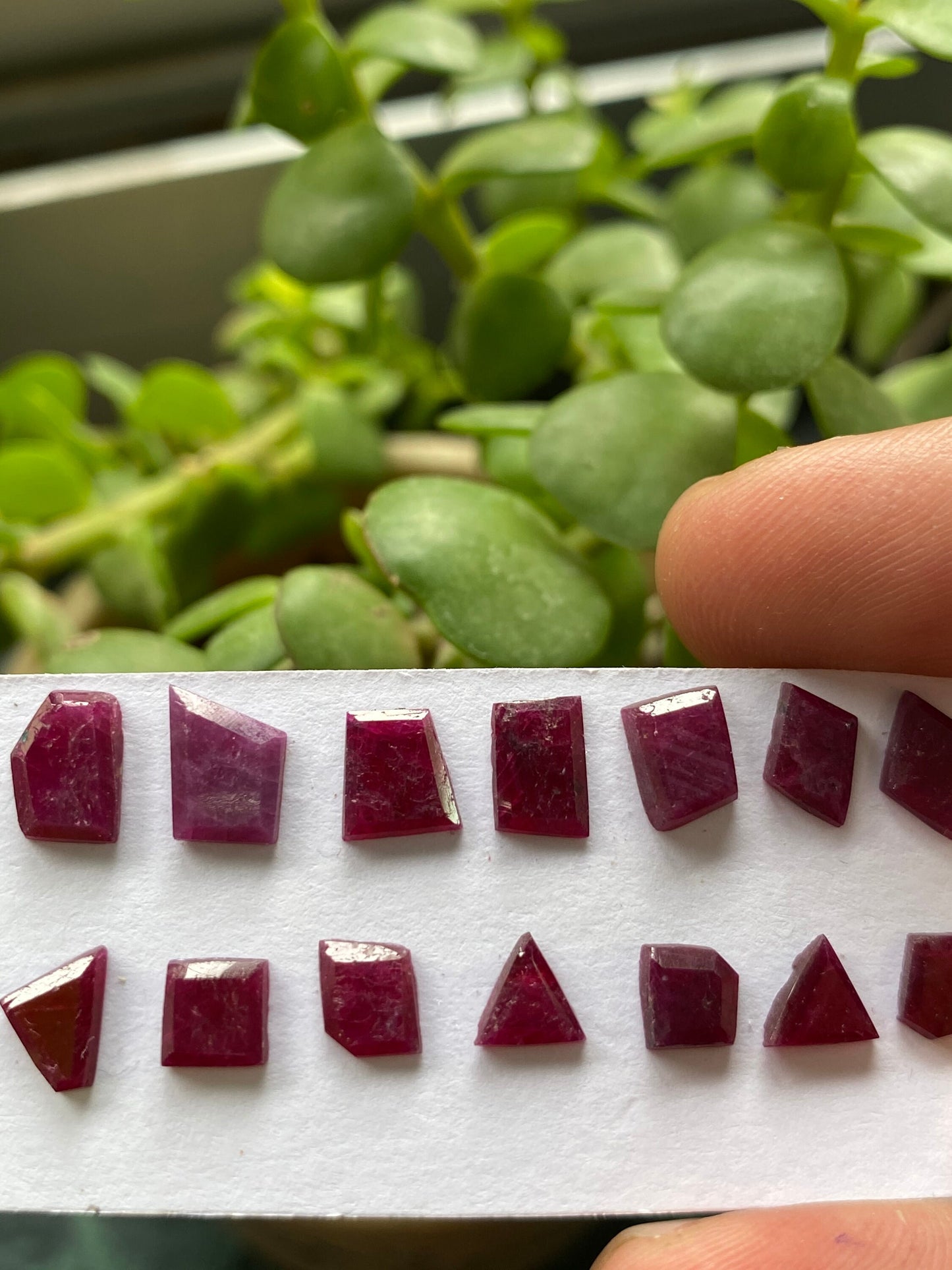 Fascinating ruby flats step cut side faceted flats wt 11 carats  pcs 14 size 5.4x5.3mm-8x5.8mm natural unheated untreated ruby