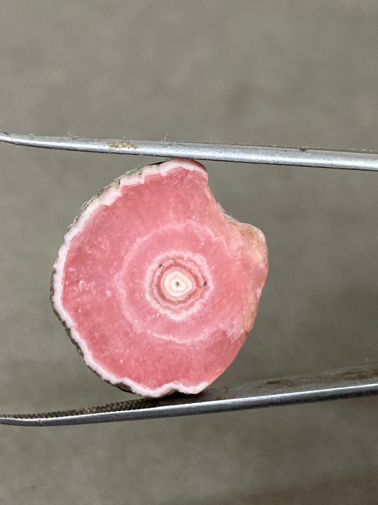 Aaa quality rhodochrosite slice watermelon smooth polished wt 16 carats size 23x19mm one of a kind very rare