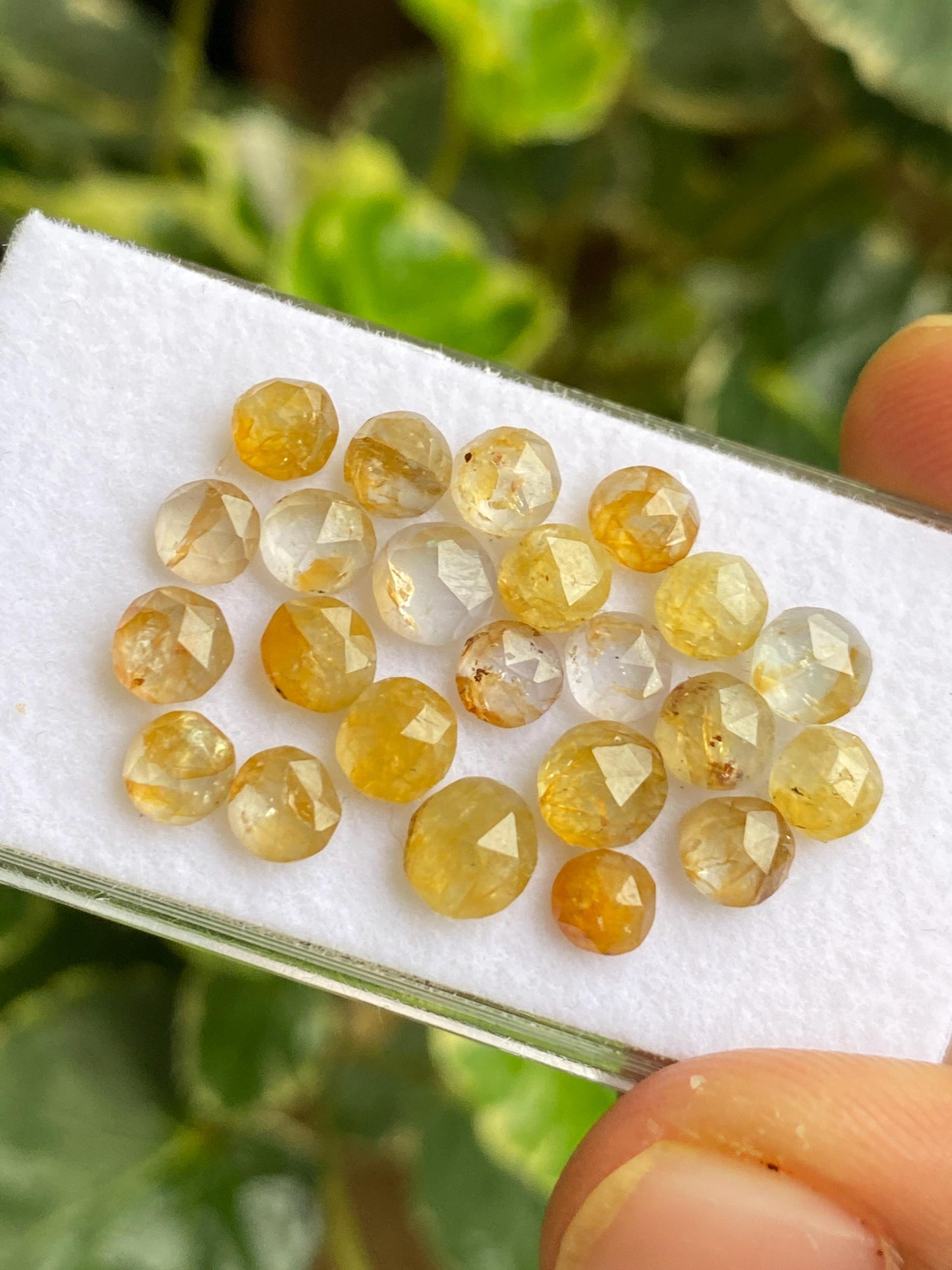 Fabulous very rare Kenya mines Bicolor yellow sapphire Bicolor rosecut wt 19 carats pcs 23 size  4.8mm-6mm sapphire round rosecut gems