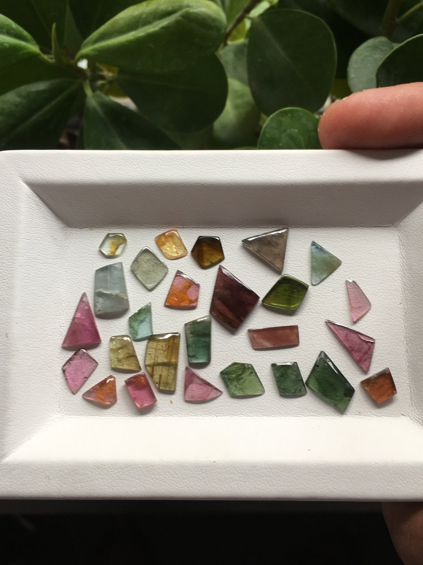 Amazing geometric shape smooth polished watermelon tourmaline flatbacks 6.4x5.3mm to 11.4x9.3mm 21 carats 26 Pcs