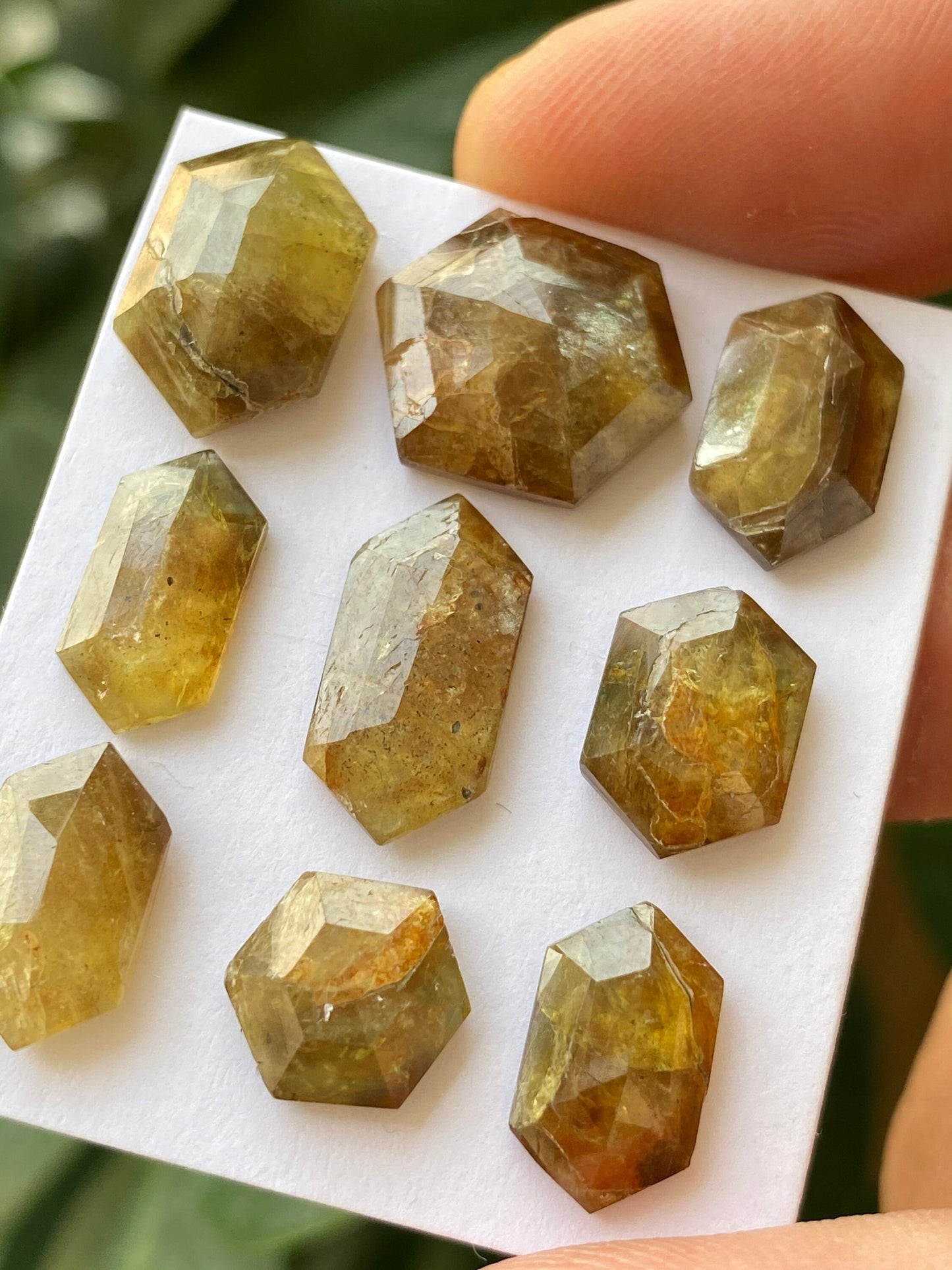 Stunning very rare big yellow golden sapphire hexagon sheen sapphire wt 43.50 carats pcs 9 size 9mm-13.5x13mm  rare sapphire hexagon stepcut