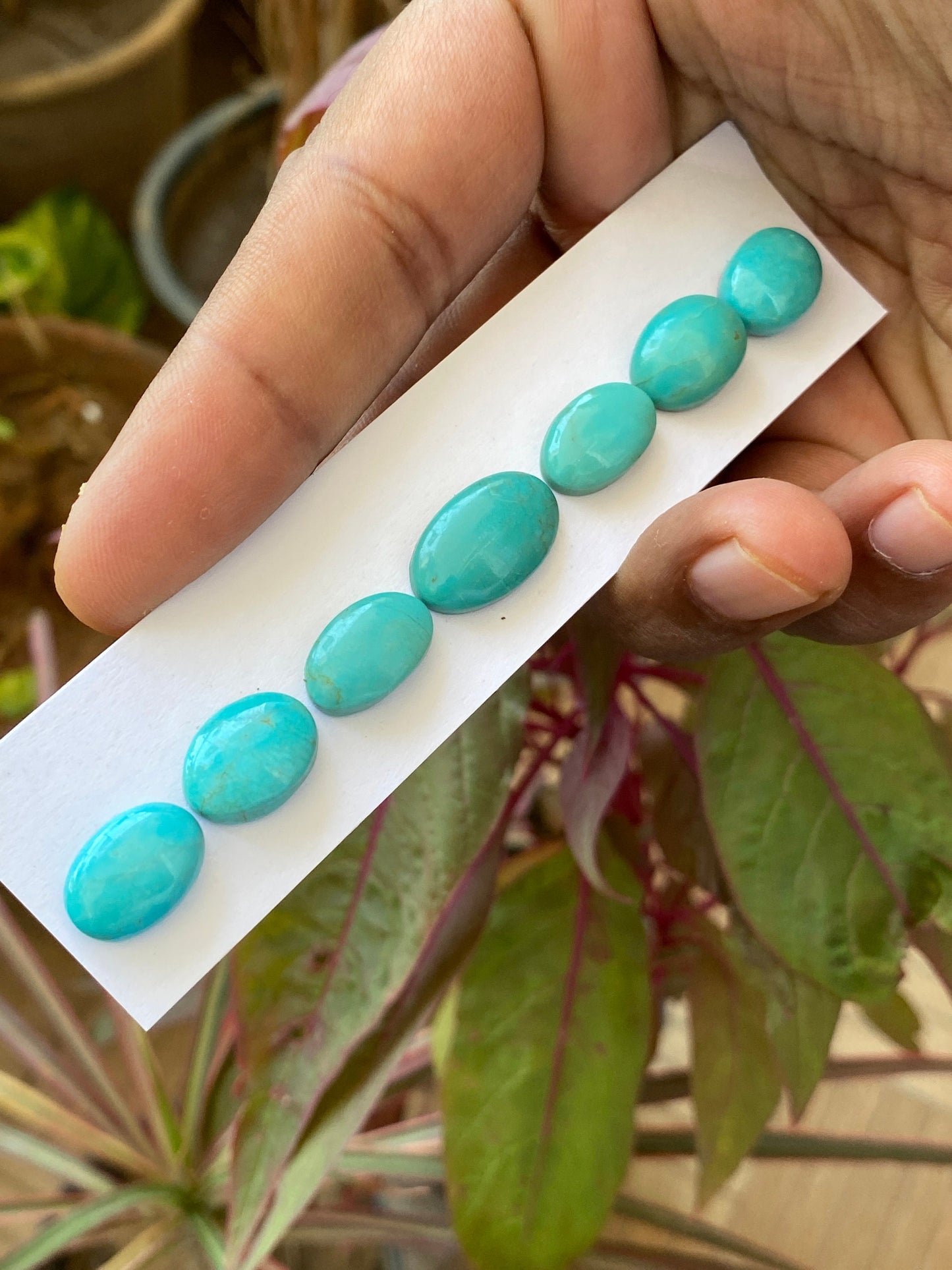 Beautiful rare Turquoise cabochons bracelet natural Arizona mines smooth  ovals pcs 7 wt 40 carats 14x10.5mm-18x11mm turquoise cabochon