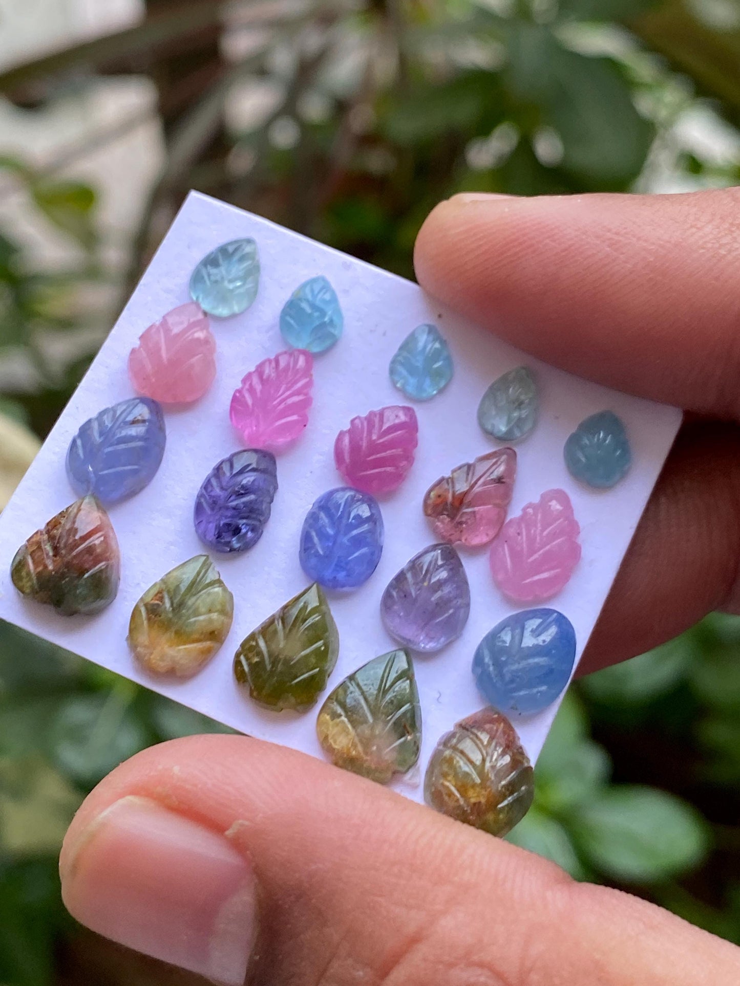 Attractive Watermelon tourmaline aquamarine pink sapphire tanzanite leaves carvings wt 25 carats pcs 20 size 6x5mm-9x8mm leaf carving