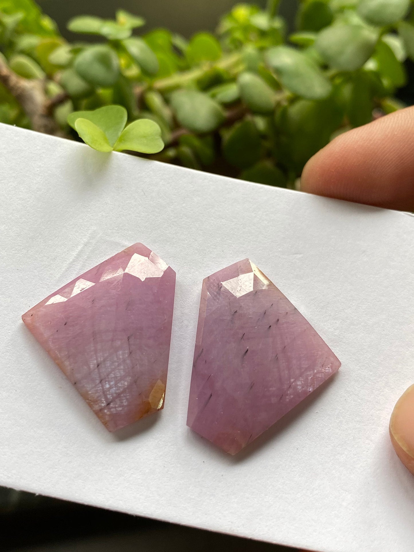 Very rare fancy pink Sapphire rosecut earring pair weight 53.15 carats size 30.5x23mm rare unheated sapphire fancy matched pair