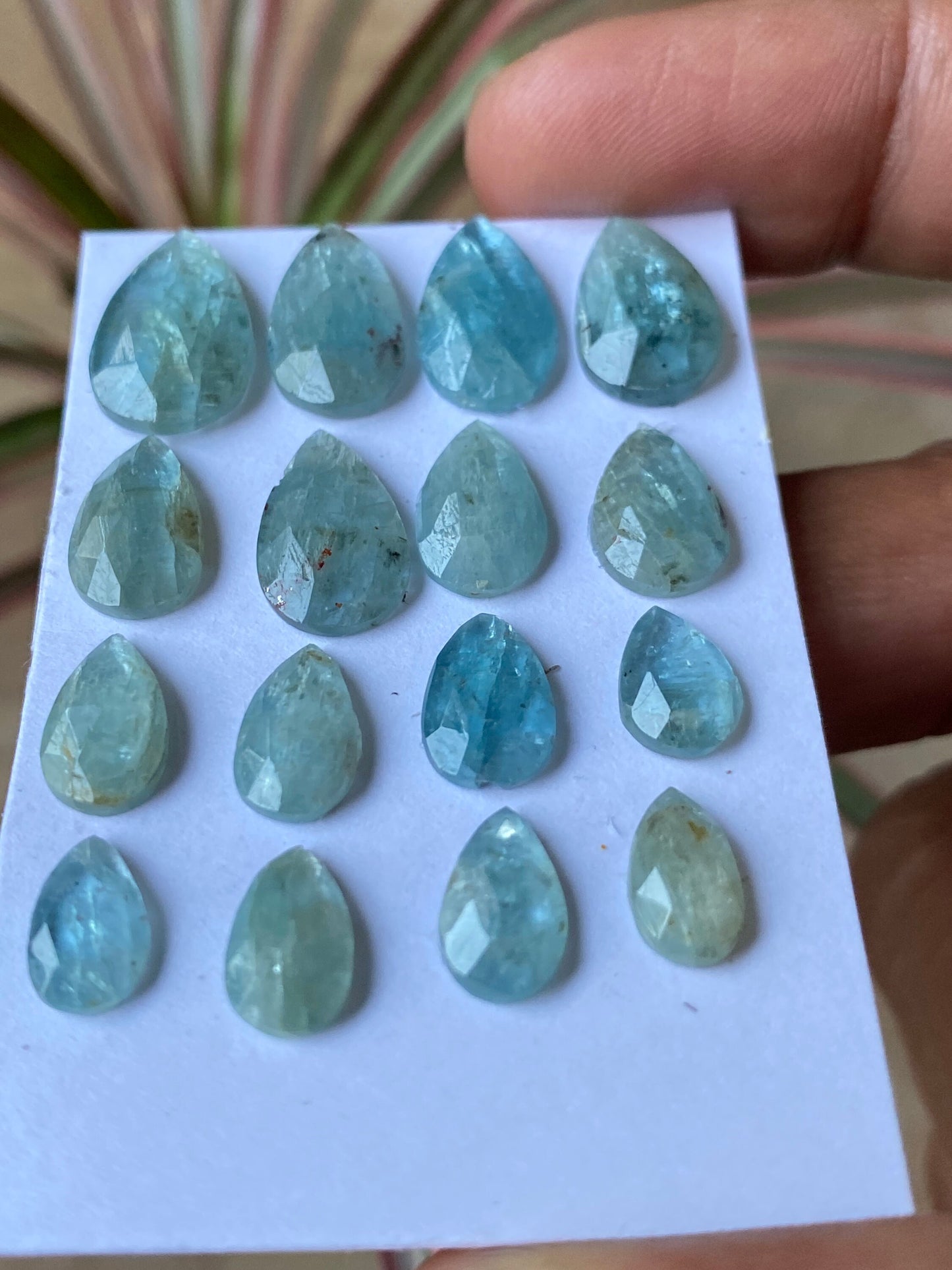 wow rare aqua color kyanite rosecut pear shape amazing quality lovely color weight 48 carats pieces 16 size 9.7x5.7mm-15.8x10mm rosecut gems