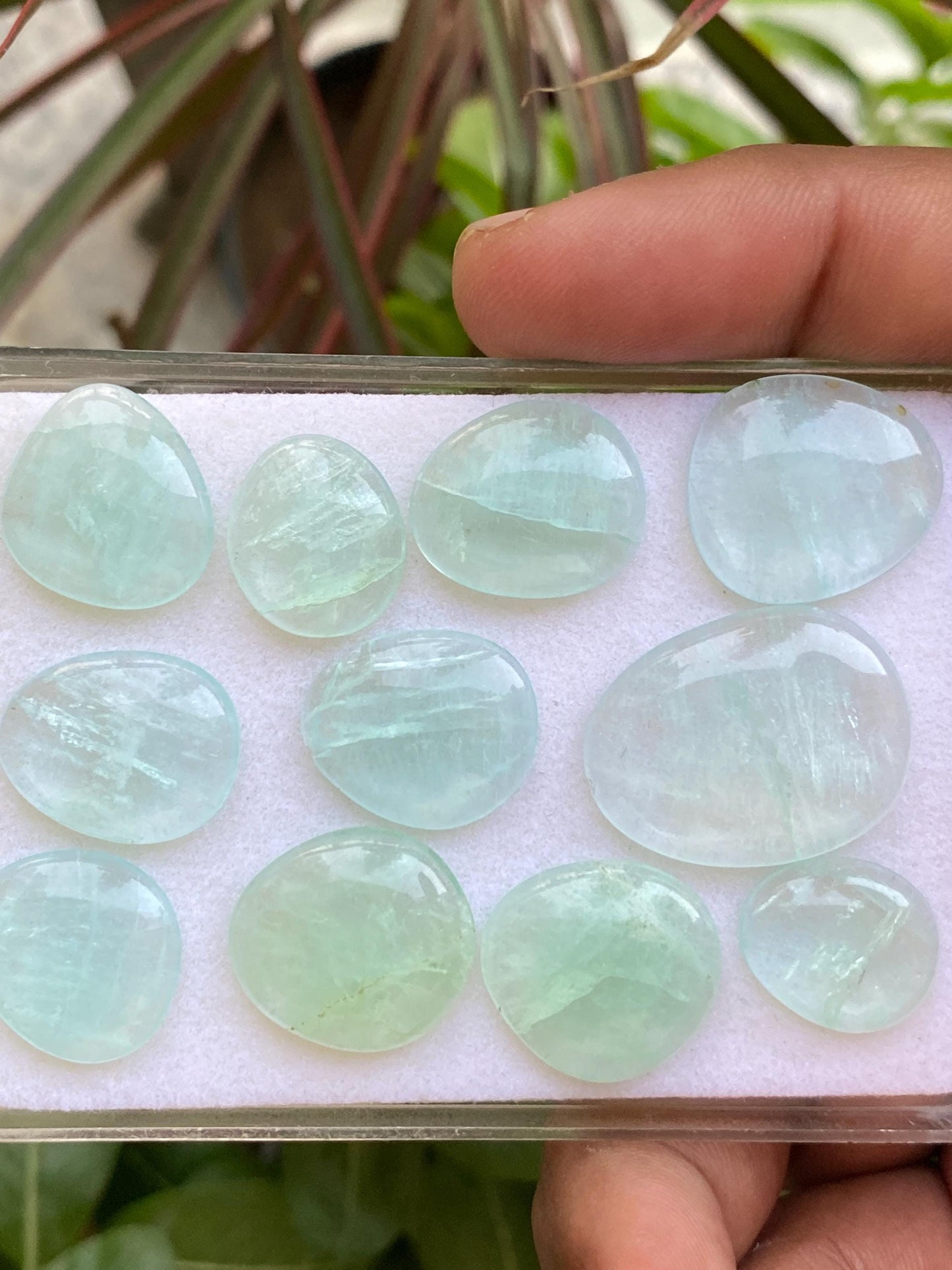 Mint Fluorite pairs smooth polished matched    sea  green size 15x13mm-25x19mm pcs 11 wt 104  cts fluorite  smooth polished cabochons