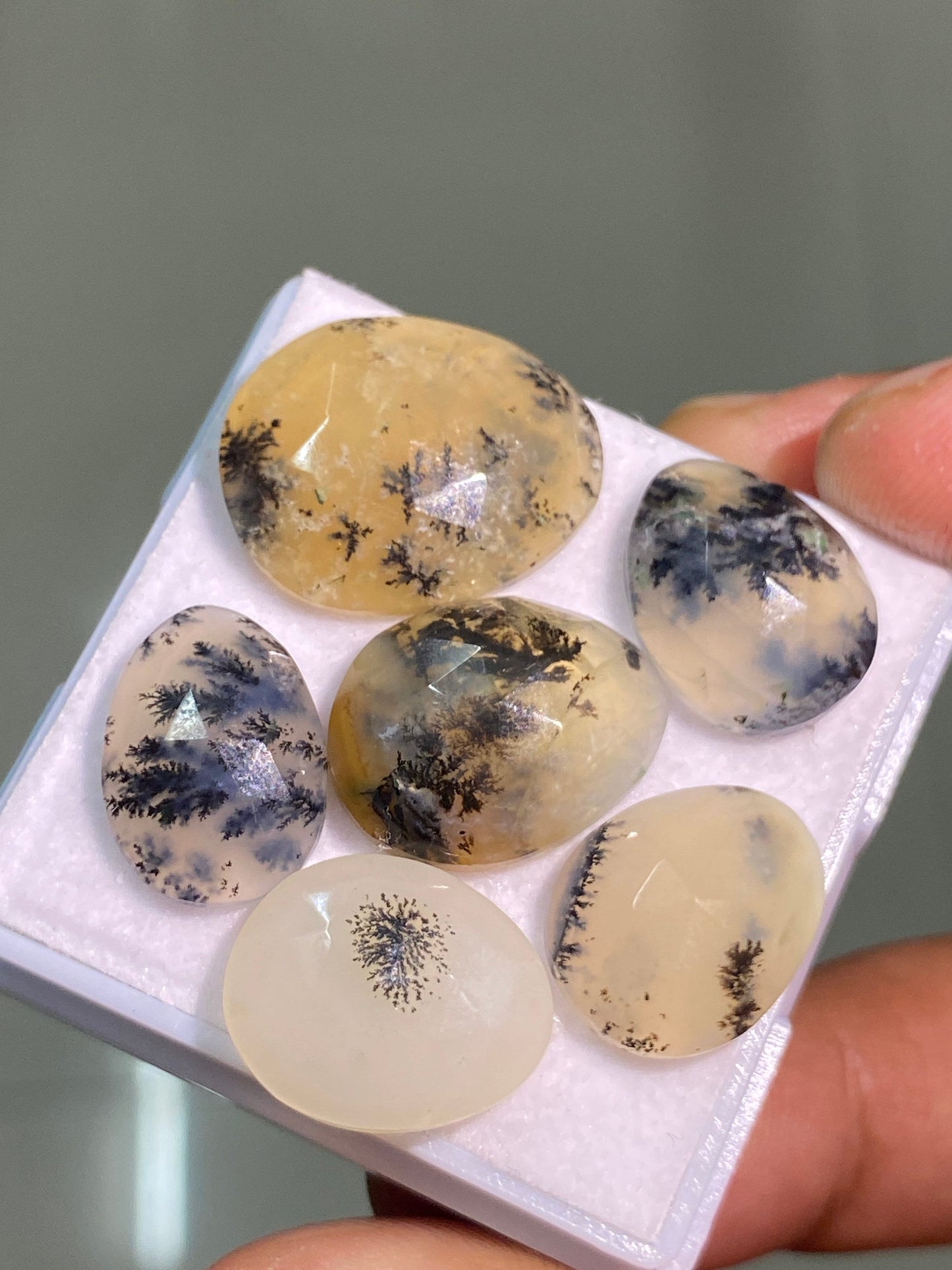 Fascinating honey dendritic quartz rosecut agate plant pattern ovalish shape rosecut size 15.5x11-20x16.5mm pcs 6 wt 38 carats dendrite