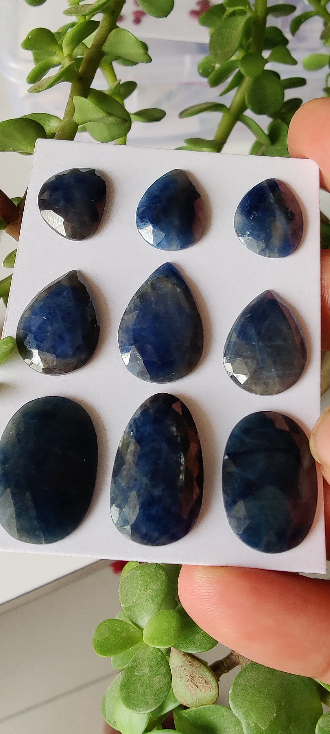 Beautiful Rare Natural unheated untreated blue sapphire rosecut pear shape 15x12mm-23x15mm wt 98 carats pcs 9  unheated sapphire rosecuts