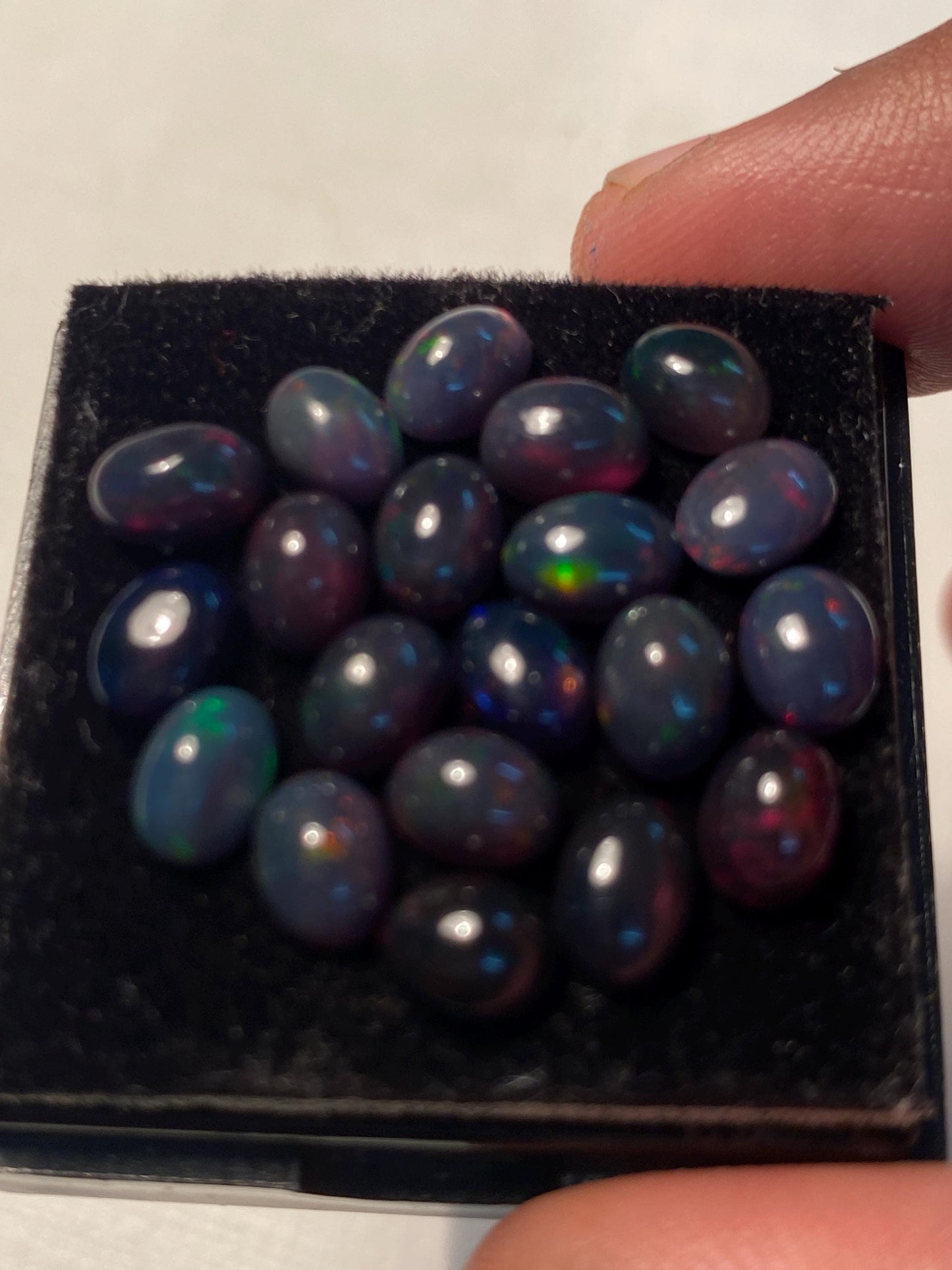 Vivacious Black opal (smoked) Natural Fire opal cabochons lot size wt 12.40 cts size 7x5mm pcs 20  opal cabochon fire black opals cabochons