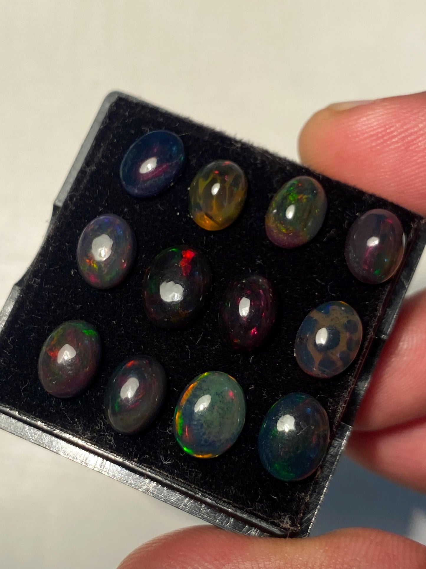 Black opal (smoked) Natural Fire opal cabochons lot size 7.8x6-8.8x7mm wt 11.35 cts pcs 12 opal cabochon aaa quality fire black opals cabs