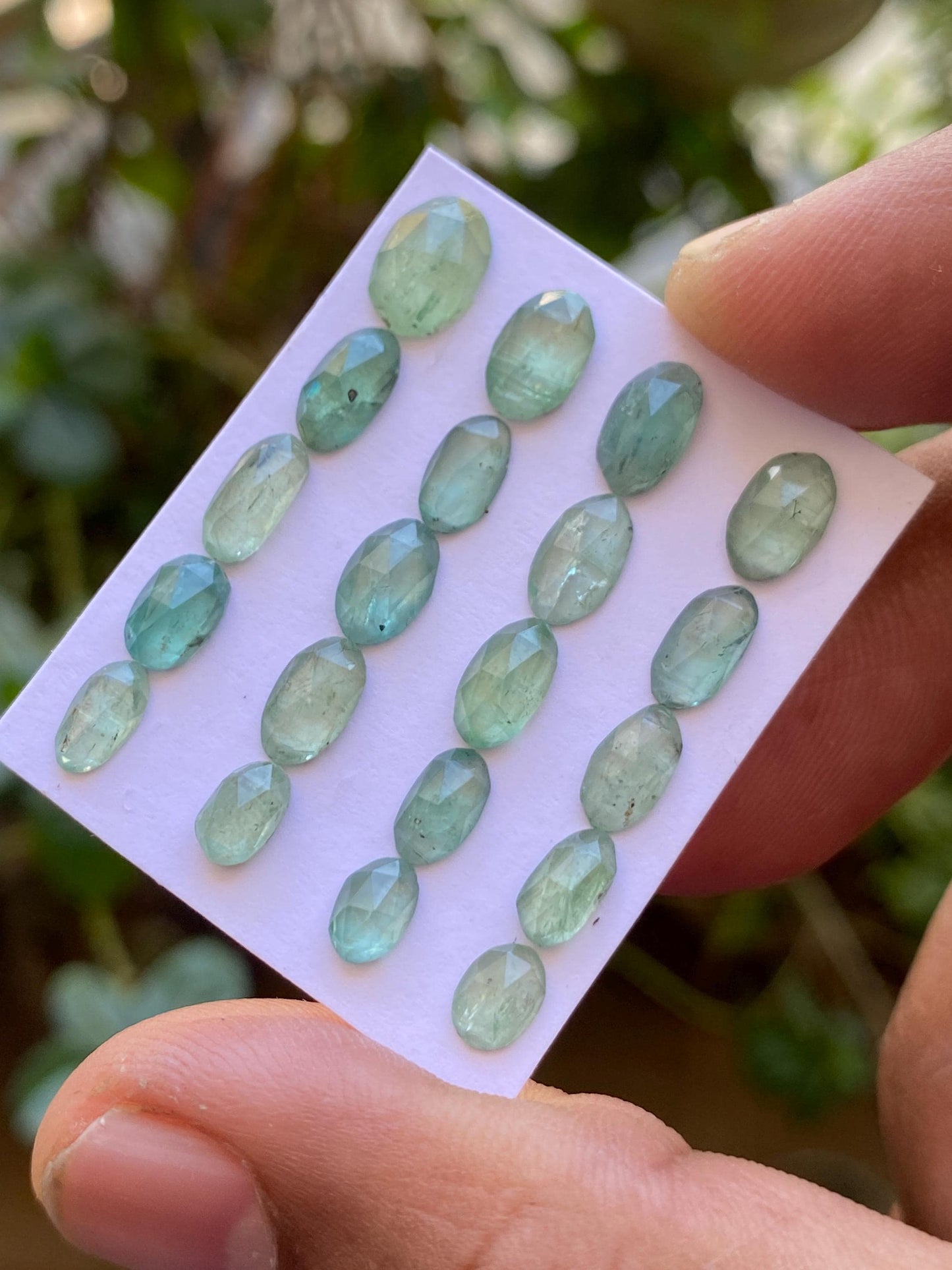 Gorgeous Mint green kyanite ovalish rosecut flats fine quality weight 16.15 carats size 6.1x4.5mm-8.8x6.3mm pcs 20 mint green rosecut