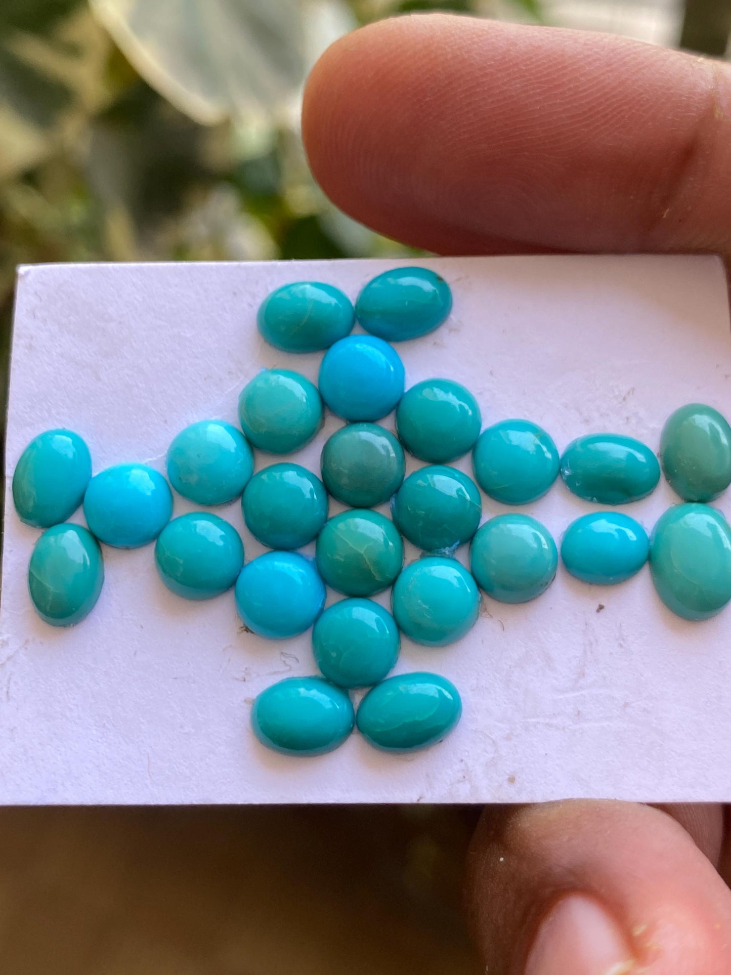 Rare Arizona mines Turquoise oval cabochons  natural smooth pcs 25 wt 19.10 cts 6.3x5.1mm-8.3x6.2mm sleeping beauty turquoise cabochons