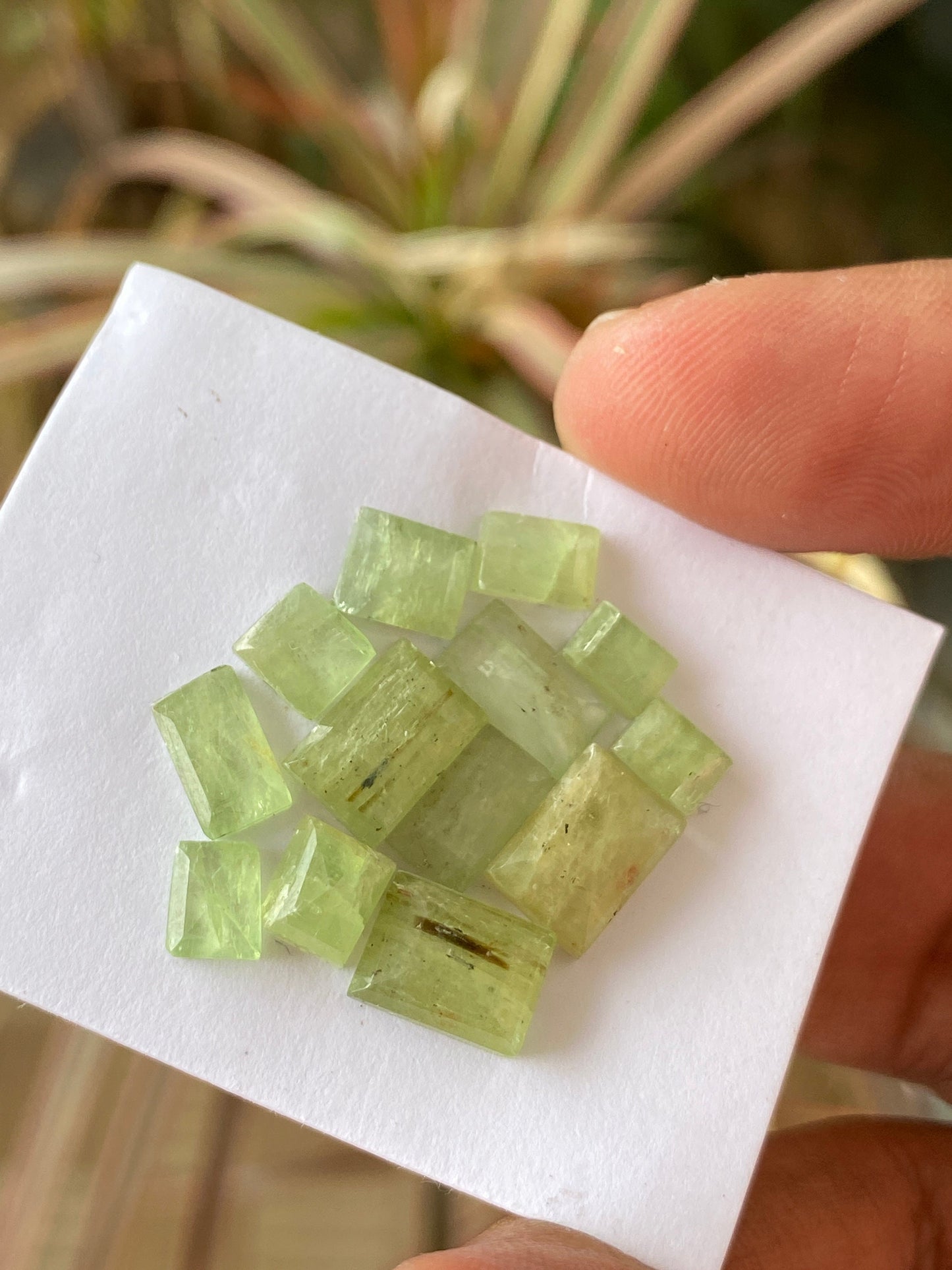 Nice rare parrot green Kyanite cushion stepcut flats quality wt 23 carats pcs 13 size 5x4mm-9x6mm aaa quality rosecut green kyanite