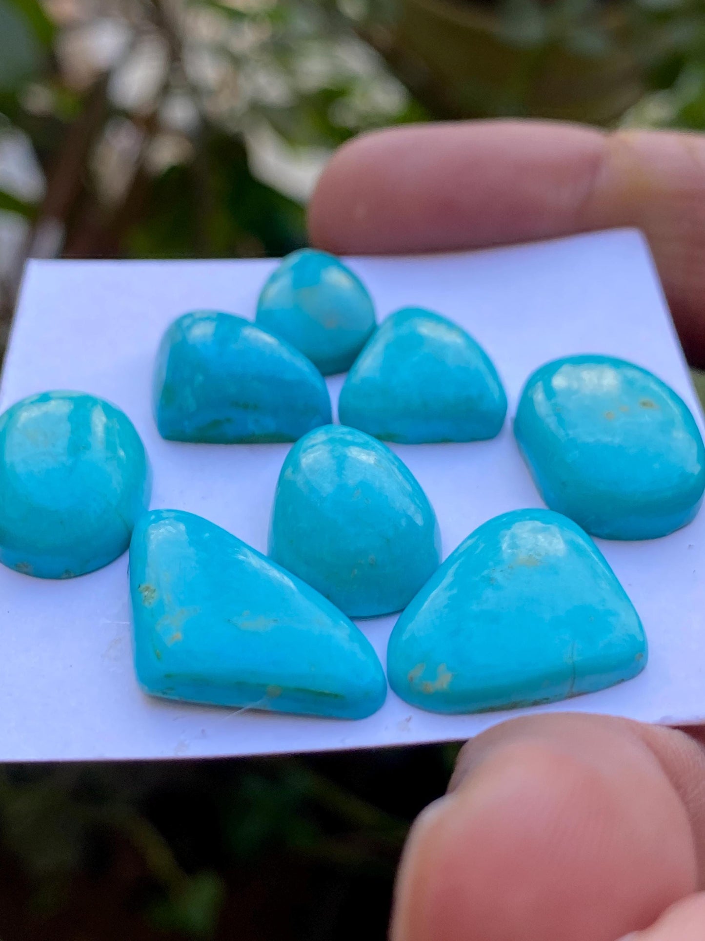 Amazing rare Arizona mines Turquoise cabochons flat natural smooth polished fancy pcs 8 wt 69.30 carats 17x11mm-25x13mm turquoise cabochons