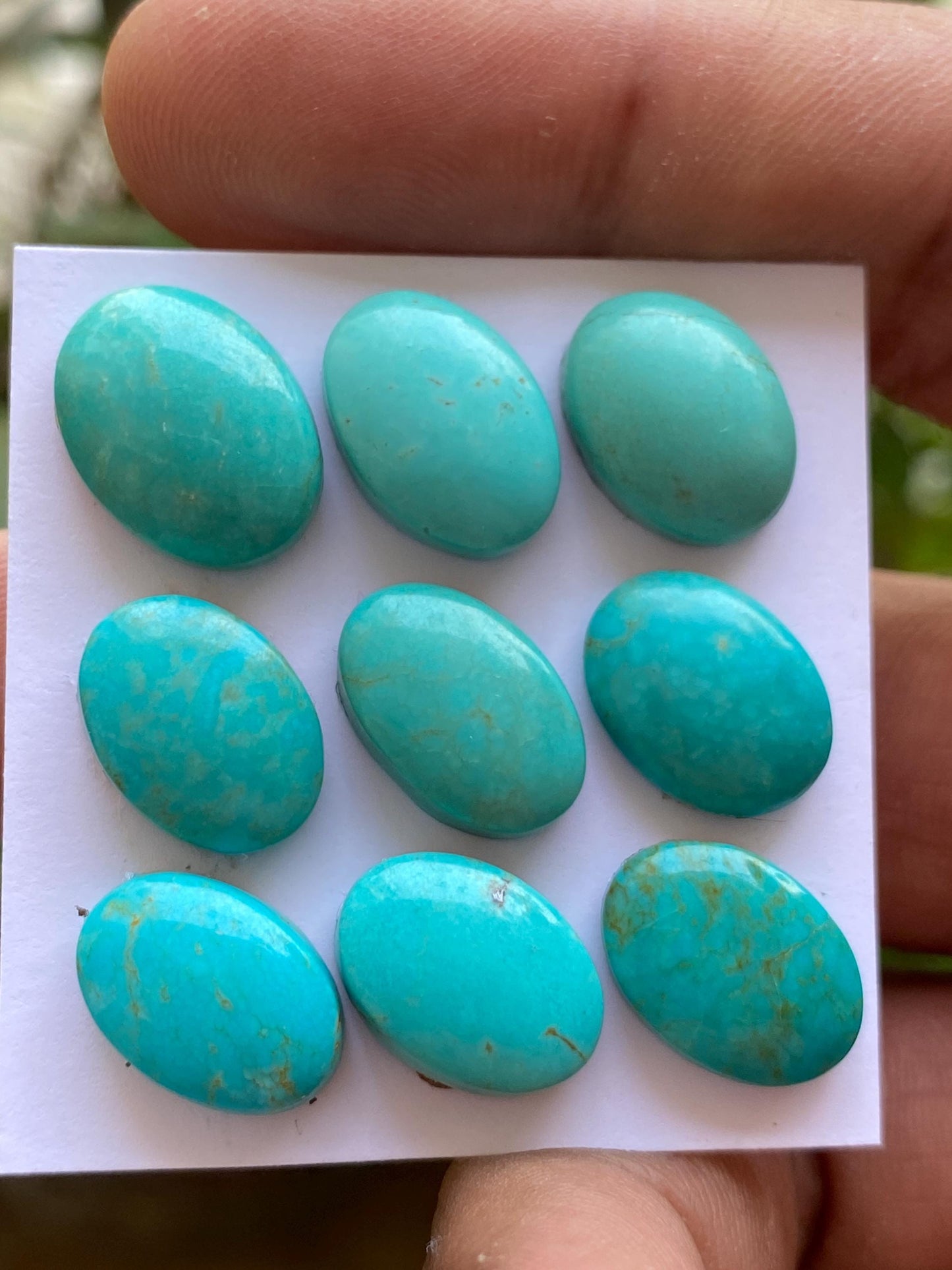 Mesmerising rare Arizona  mines Turquoise cabochons  natural smooth polished ovals pcs 9 wt 55.45 carats 14x10mm-15x12mm turquoise cabochons