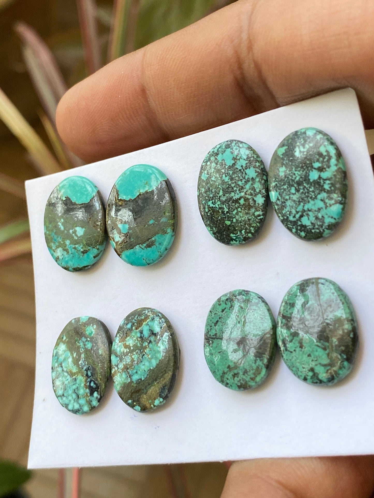 Rare Turquoise pair natural hubei mines rare pattern  smooth turquoise pcs 8 wt 39 carats size 12x14-15x12mm turquoise earrings supply