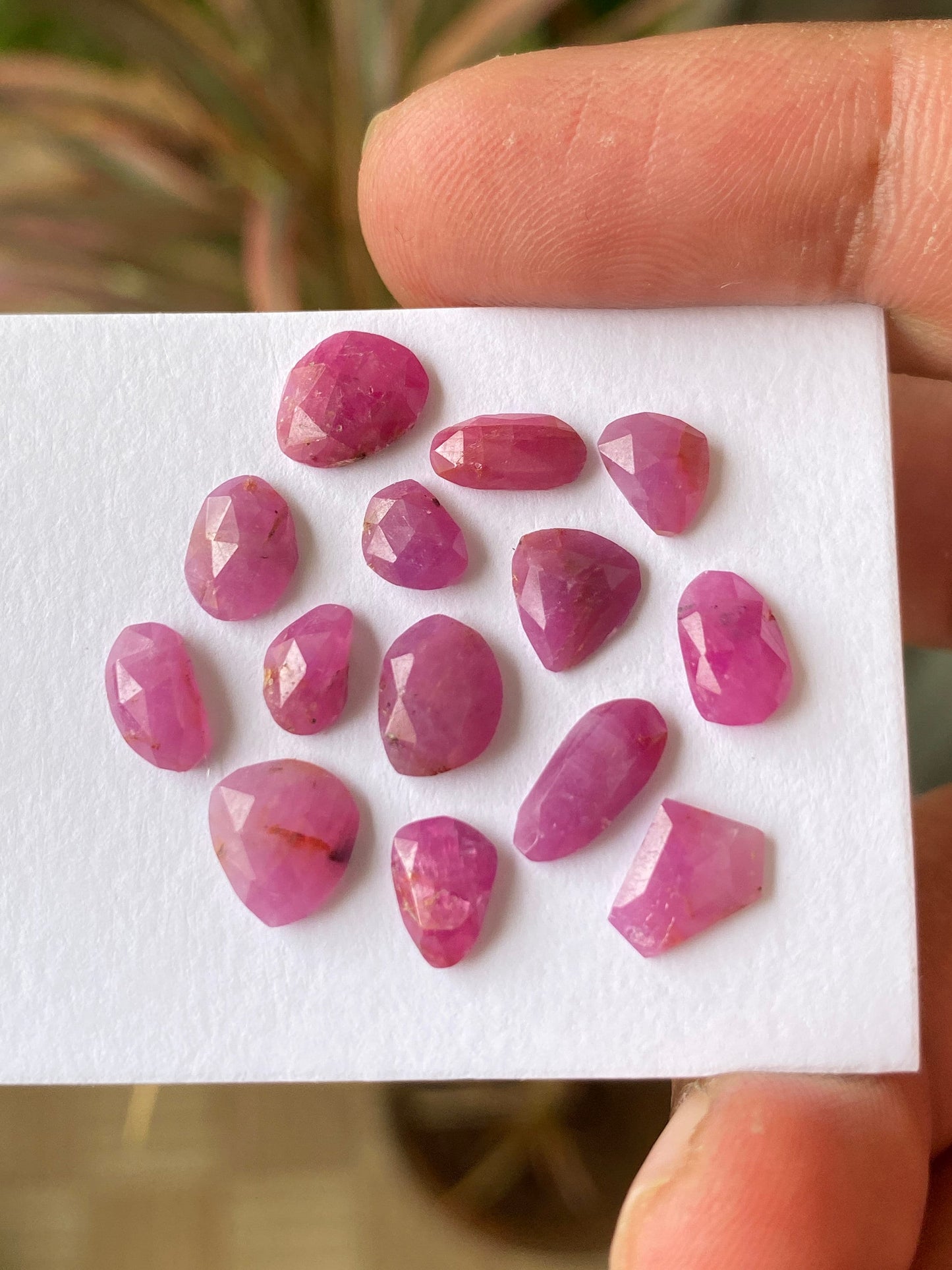 Very Rare natural unheated untreated ruby rosecut flats amazing color mixed shapes wt 16 cts  pcs 14 size ruby cut