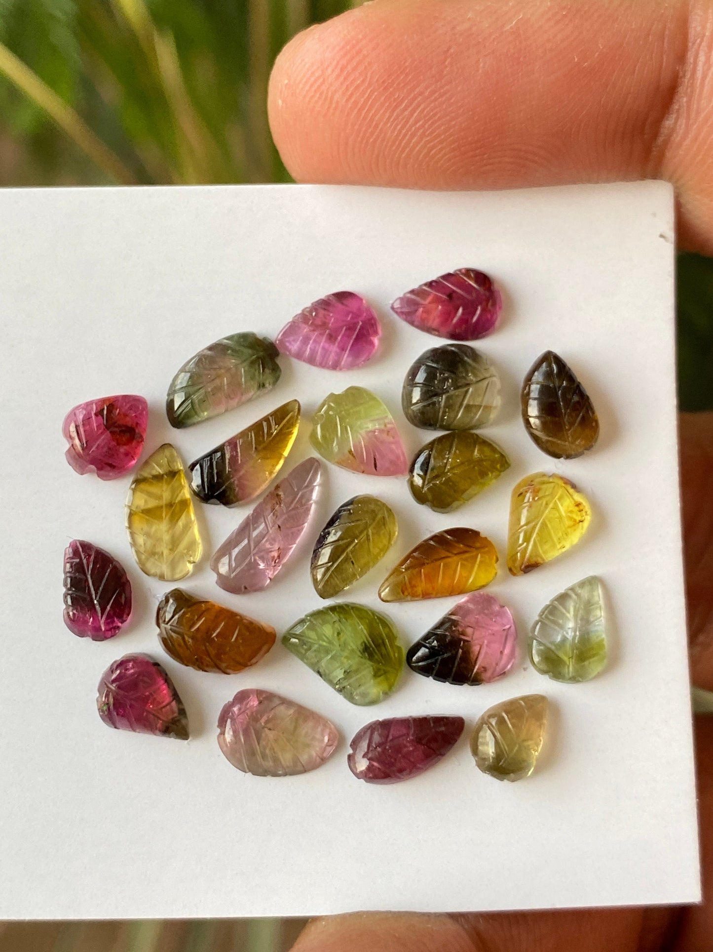 Vivacious Bicolor Watermelon tourmaline leaves carving  multi tourmaline carvings wt 19 carats pcs 23 size 6x4mm-12x4mm tourmaline leaves