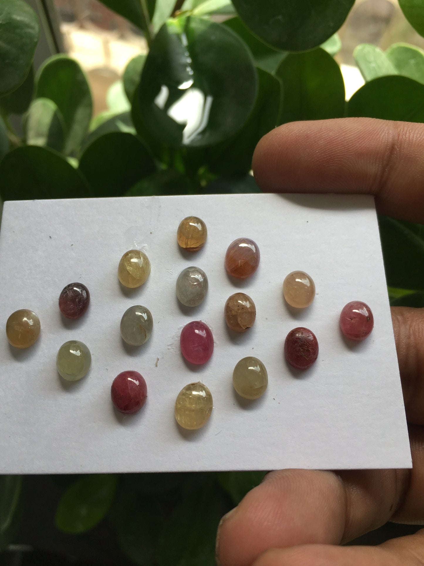 Multi  Sapphire Cabochons Natural umba sapphire Unheated Untreated Sapphire  weight 31.15 carats pcs 16 Size 7x5mm to 8x6mm fine quality