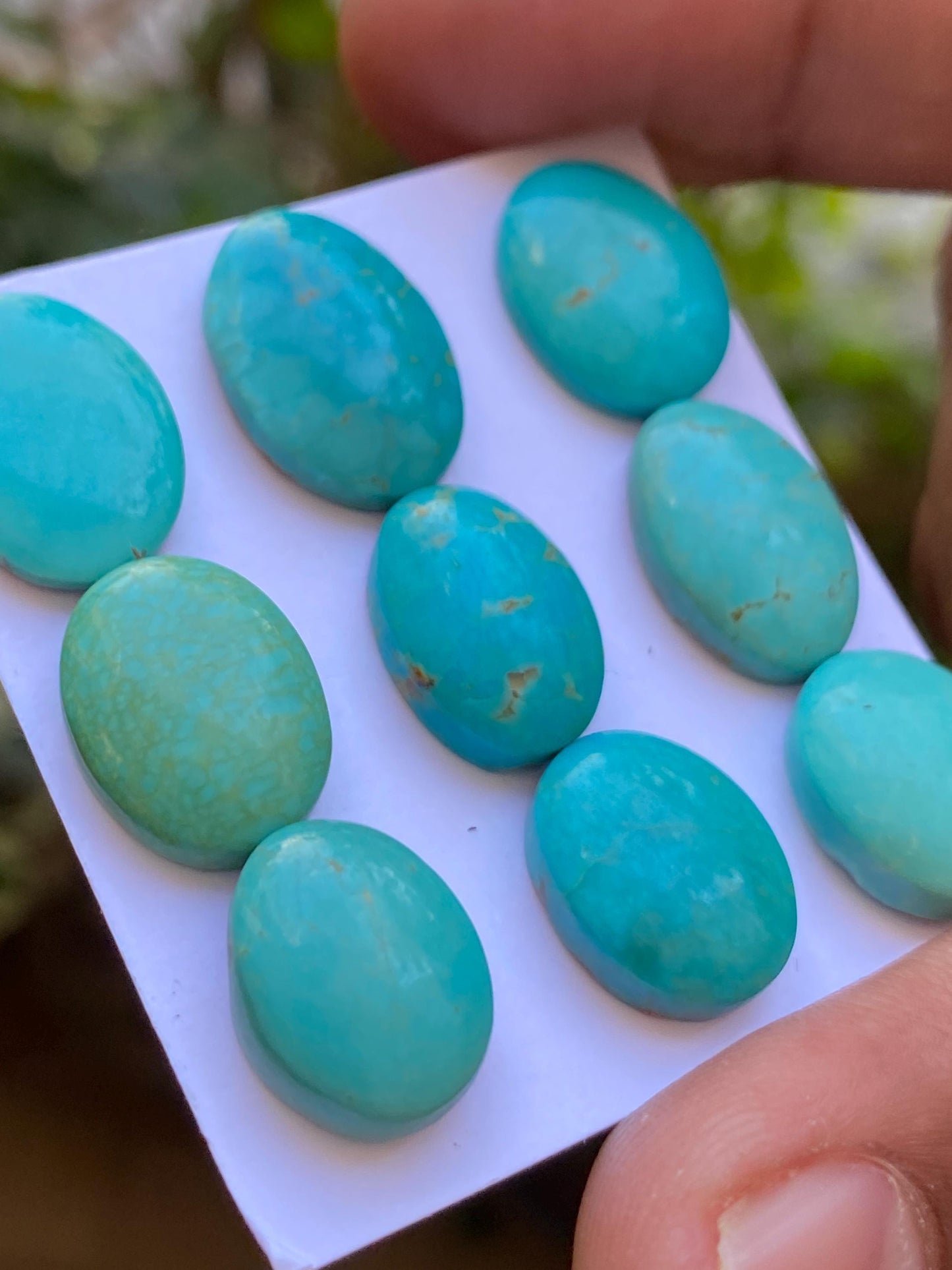 Vivacious rare Arizona  mines Turquoise cabochons  natural smooth polished ovals pcs 9 wt 65.20 carats 14x11-17x12mm turquoise cabochons