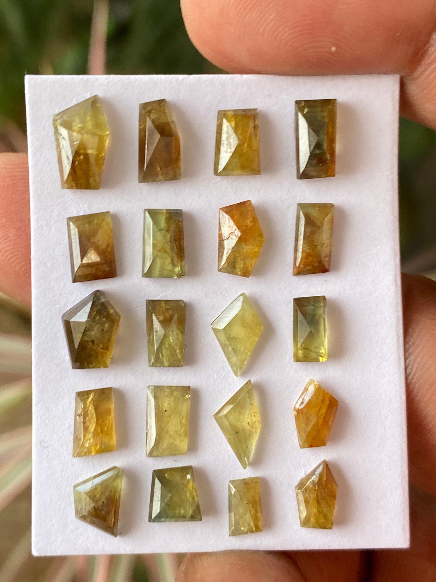 Gorgoeus very rare Tanzania mines small yellow sapphire Bicolor geometric wt 20 carats pcs 20 size 5.7x5.6mm-10x5.8mm sapphire stepcut