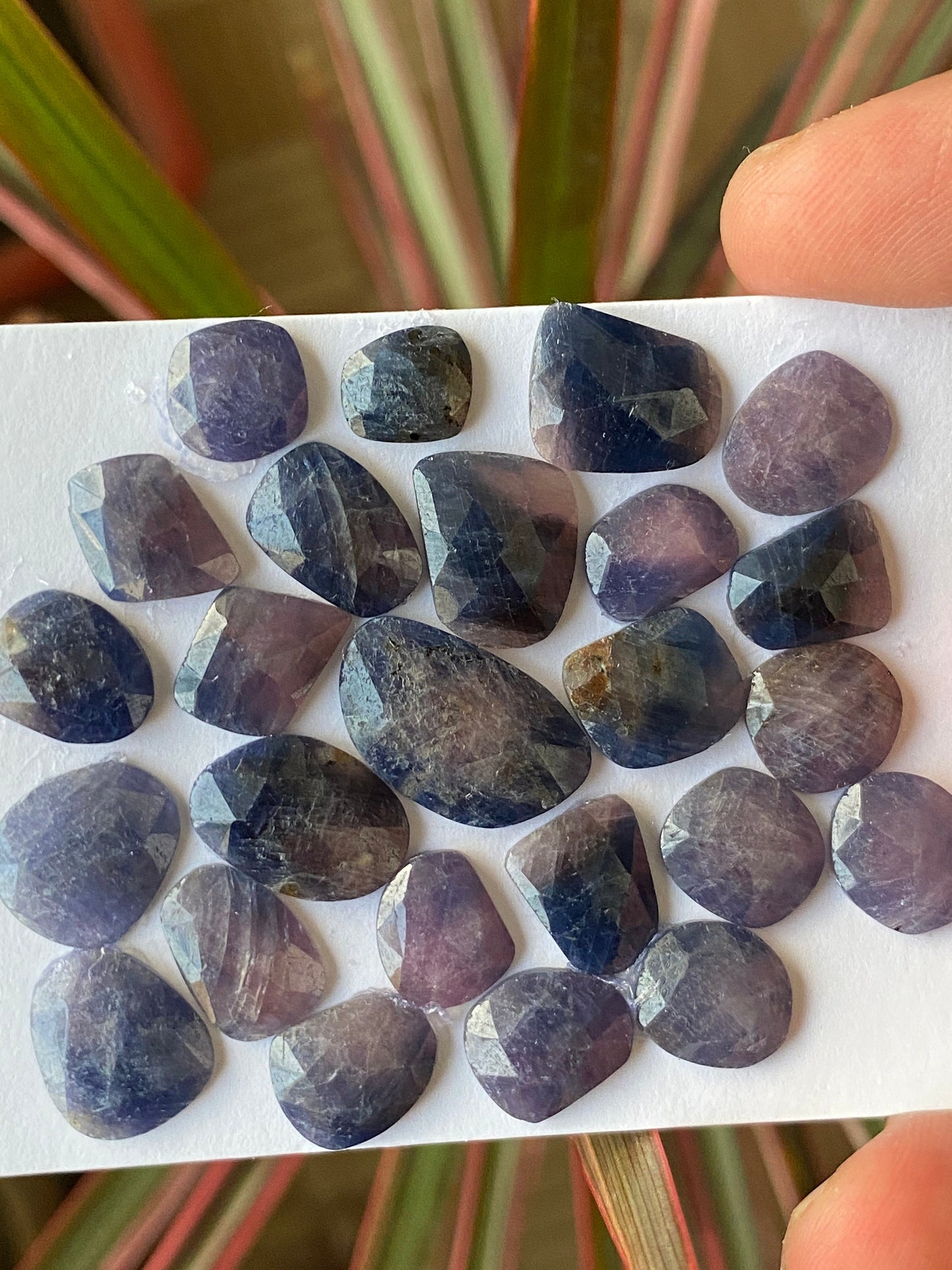 Fascinating Natural unheated untreated blue purple sapphire rosecut wt 83.50 cts pcs 25 8.7x7.7mm-18.5x11.3mm unheated blue sapphire rosecut