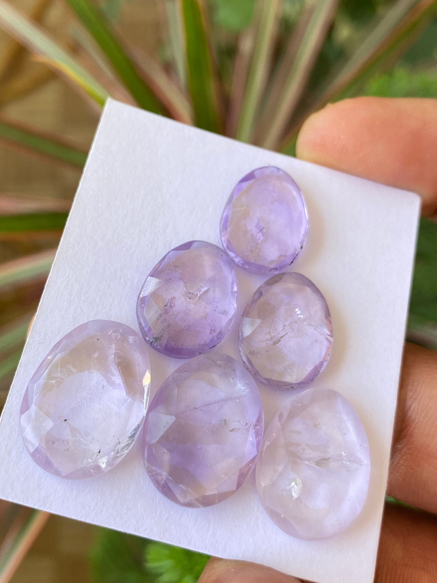 Gorgeous rare Brazilian mines Amethyst big size rosecut wt 58 carats pcs 6 size 17.9x13mm-21x15.5mm Ametrine rosecut lot large size